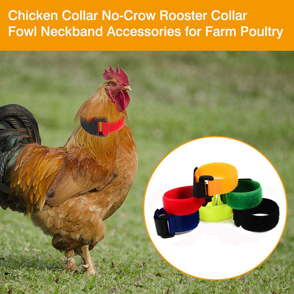 N-A Upgrade Anti Crow Rooster Collar, Noise-Free Nylon Neckband, 6 Pieces, Multicolor
