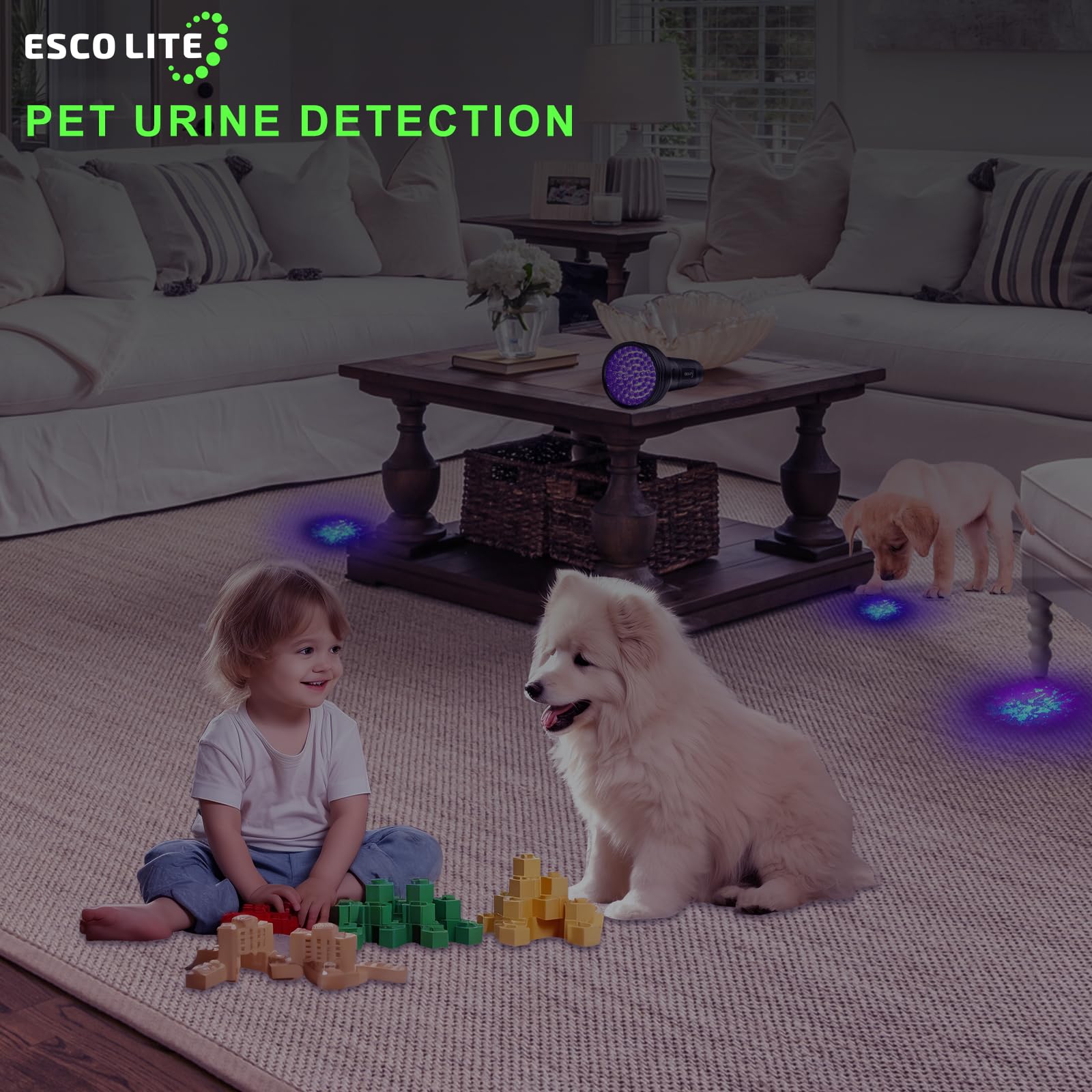 ESCO LITE UV Flashlight - 100 LED 395 nM Black Light for Pet Stains & Bed Bugs - Aluminum Model ESCO_0060