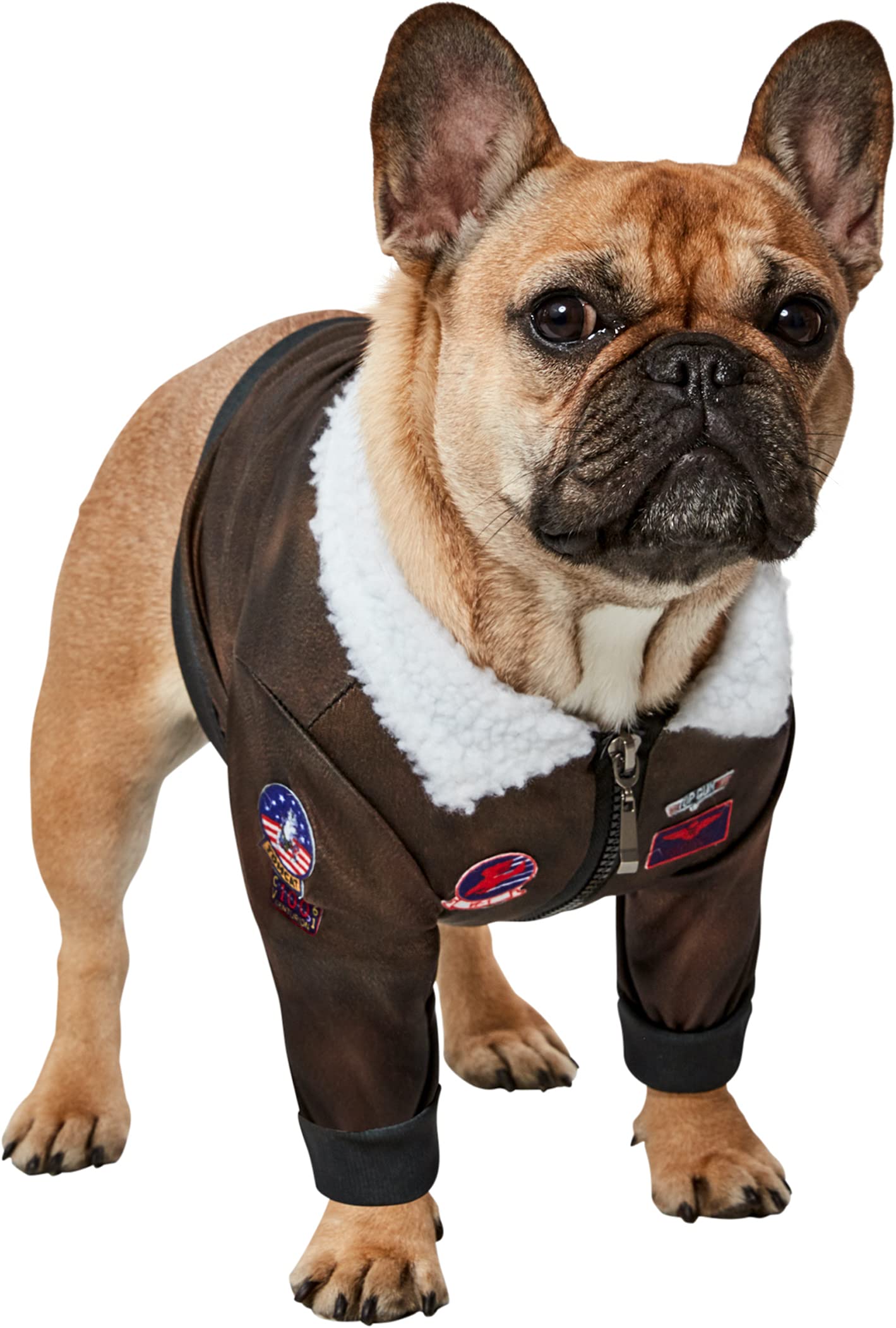 Rubies Top Gun Classic Pet Costume - X-Small, As Shown - Ideal for Themed Parties and Halloween, Model 202353_XS