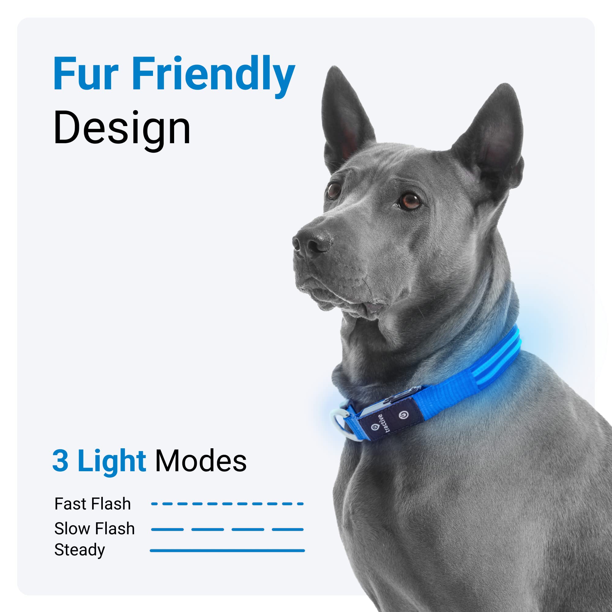 Tractive Led Light Up Dog Collar Usb Rechargeable Waterproof (Blue), Medium