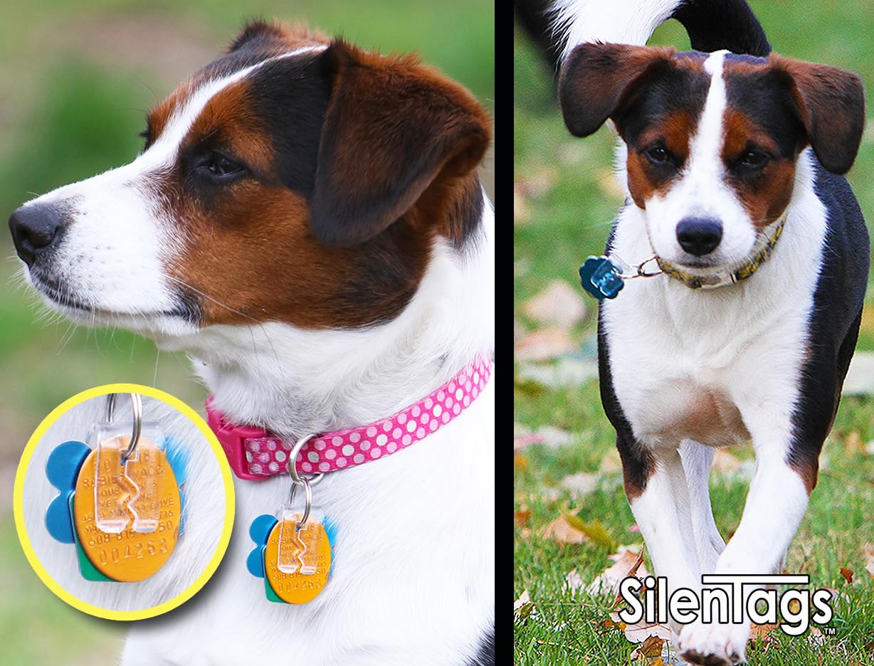 Silentags Pet Tag Silencer Clip It On, Jingle'S Gone! -Clear