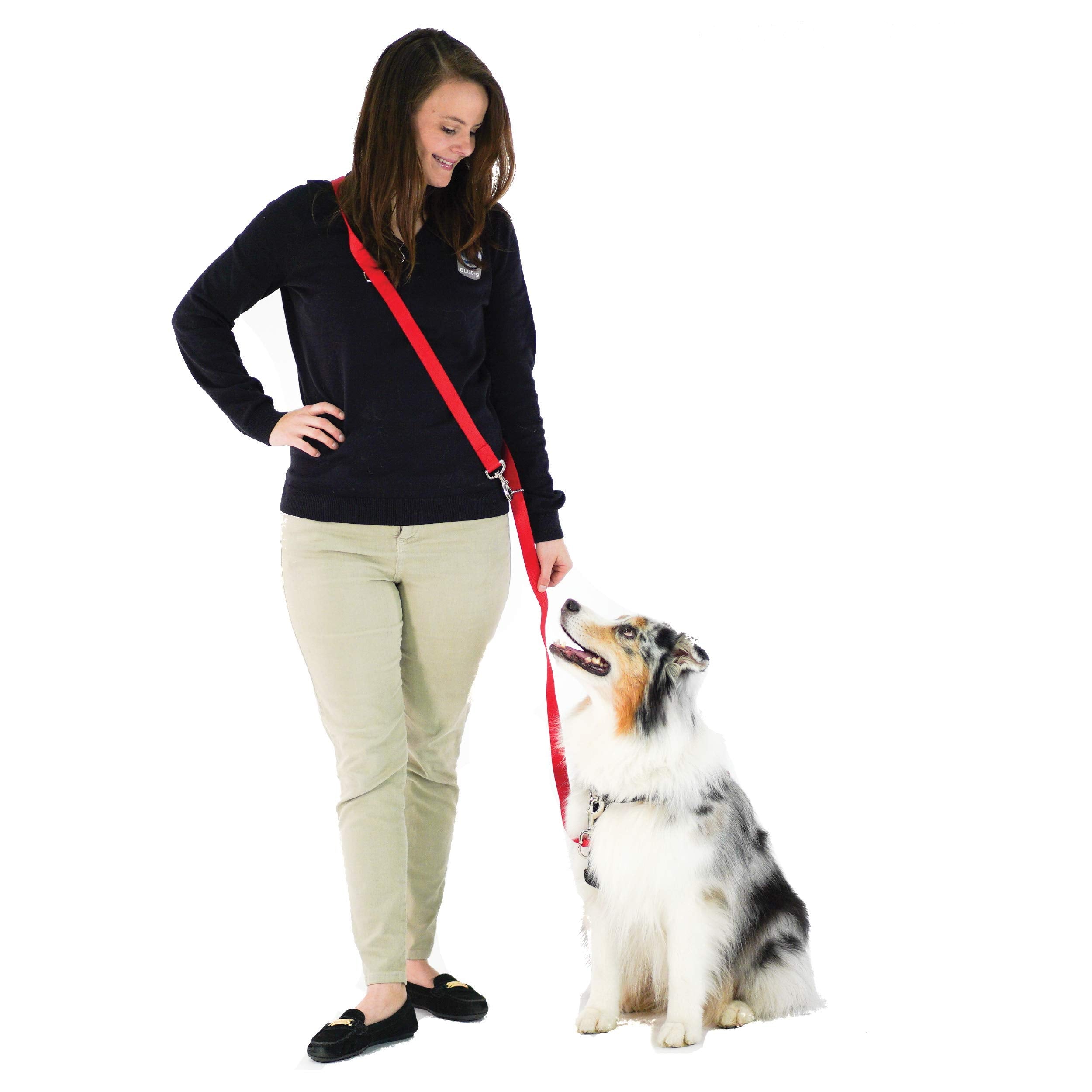 Blue-9 Multi-Function Hands Free Dog Leash, Double Attachment 6 Foot Adjustable Lead For Obedience, Running, And Agility Training (Red, Medium Large)