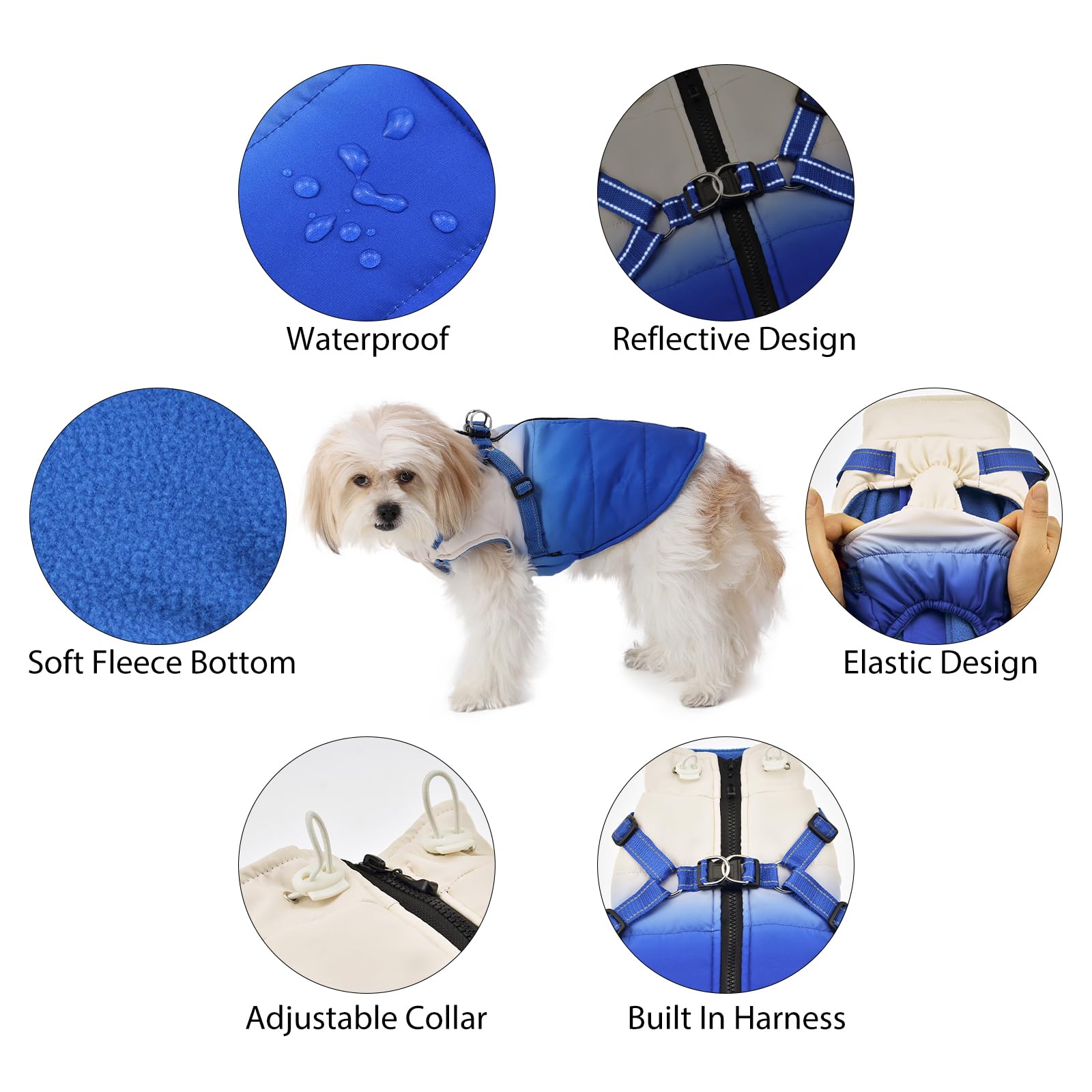 Gyuzh Winter Dog Jacket - Color Changing, Waterproof, Reflective, Fits Small To Large Dogs (Medium, Blue)