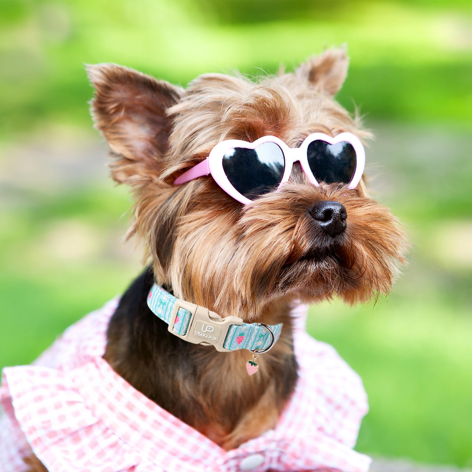 Up Urara Pup Dog Collar-Adorable Spring/Summer Puppy Collars-Adjustable Strawberry Pet Collar For Small,Medium,Large Dogs