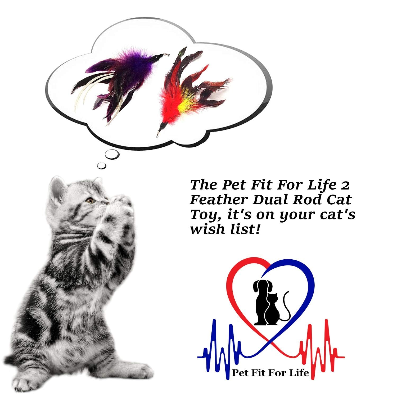 Pet Fit For Life Cat Wand Toy - Irresistible Cat Flirt Pole - Ultimate Feather Teaser For Indoor Cats - Safe & Durable For Interactive Play