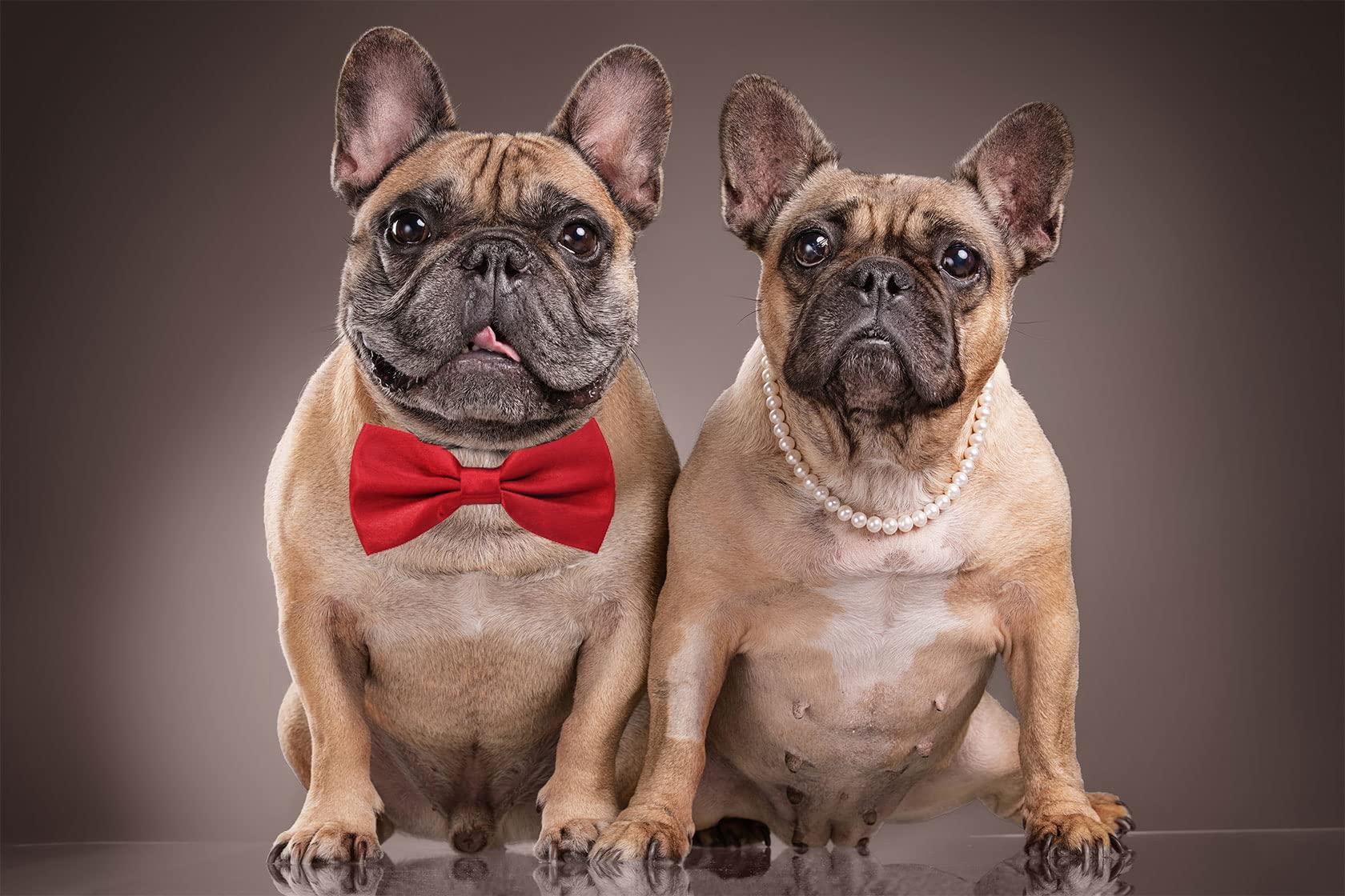 Amajiji® Formal Dog Bow Ties For Medium & Large Dogs (D114 100% Polyester) (Dark Red)