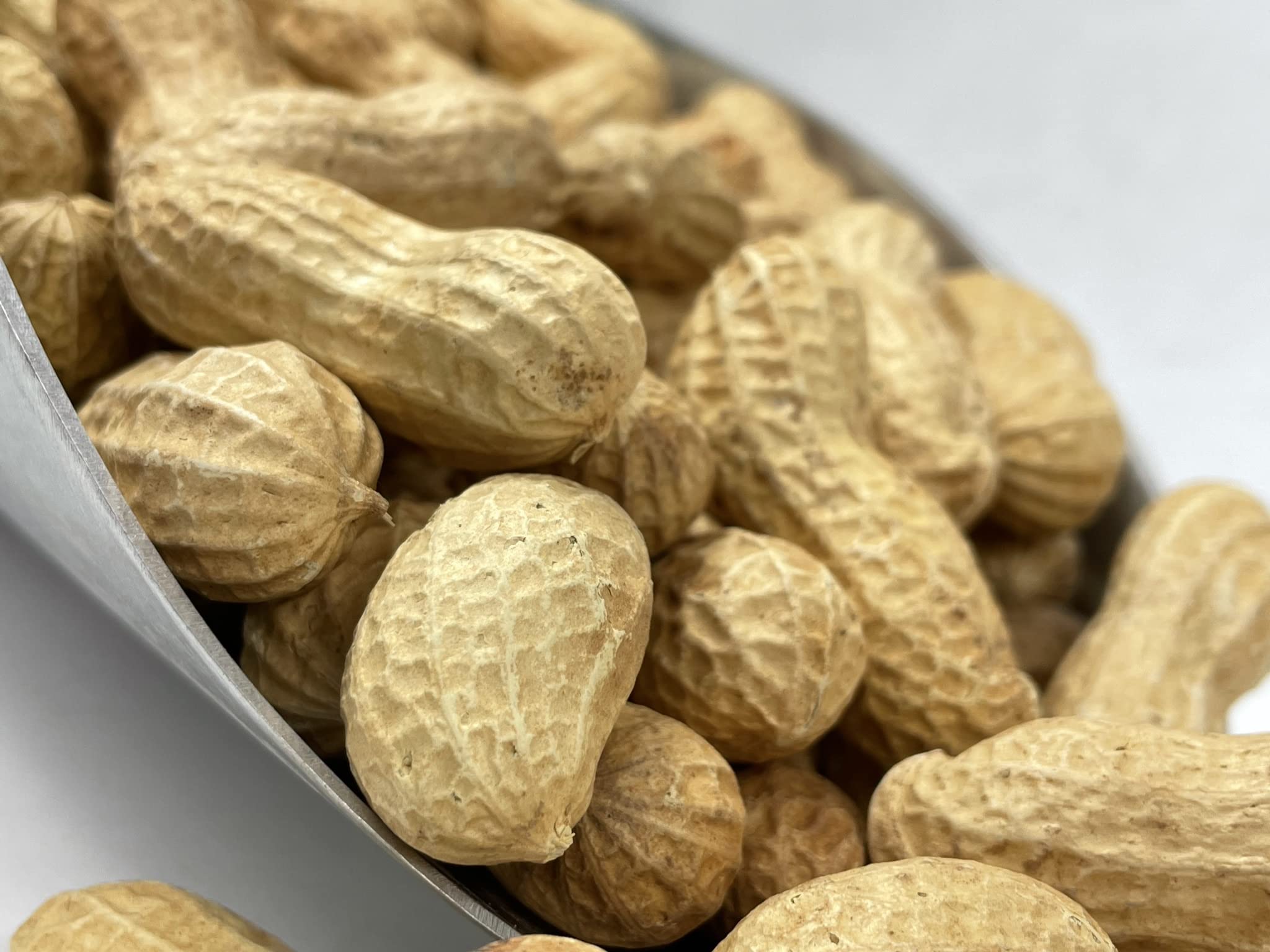 Premium Raw Peanuts in Shell for Animal Feed - 10LB