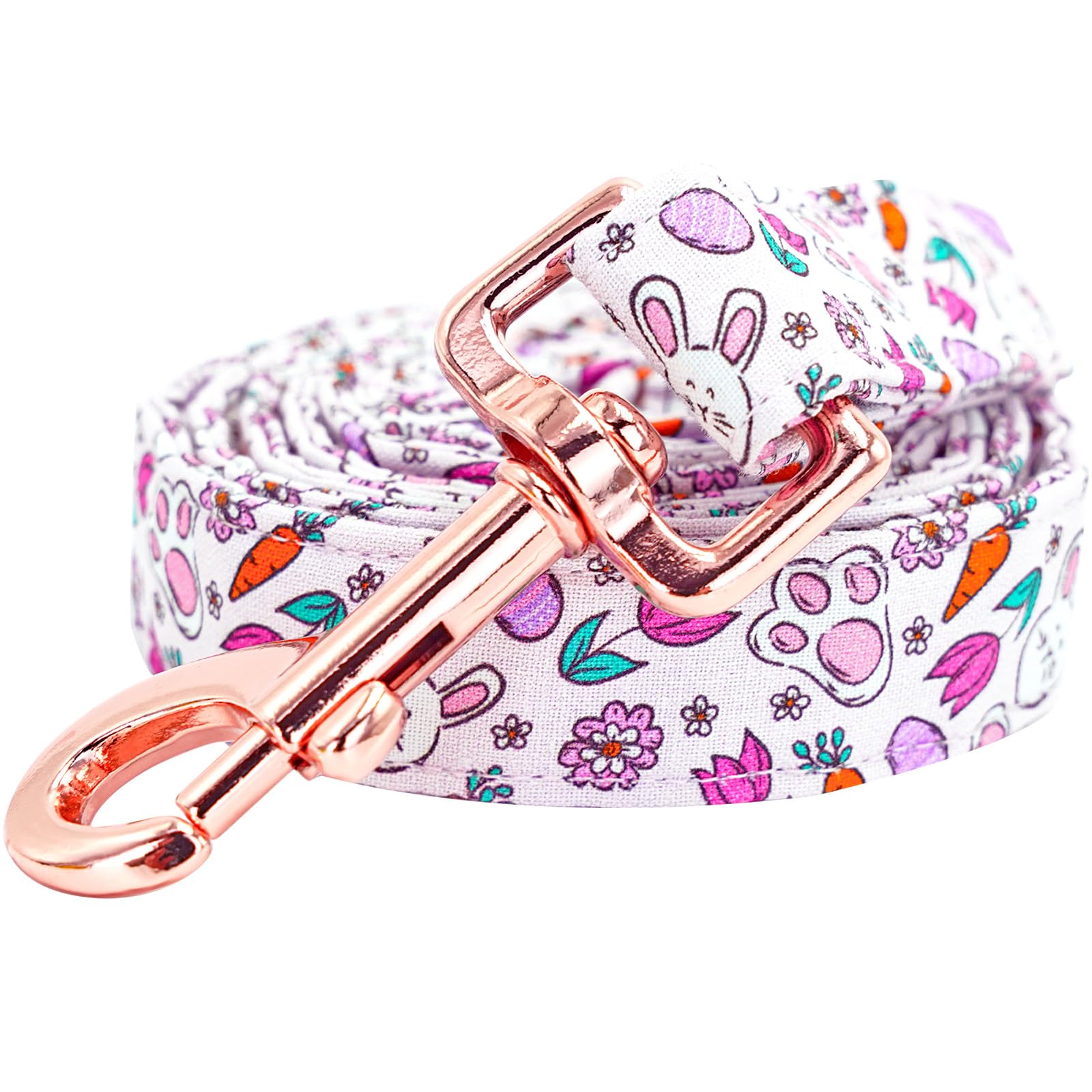 Lionheart Glory Easter Strong Dog Leash, Spring Summer Durable Dog Leashes With Soft Handle For Walking Training Medium Male Or 