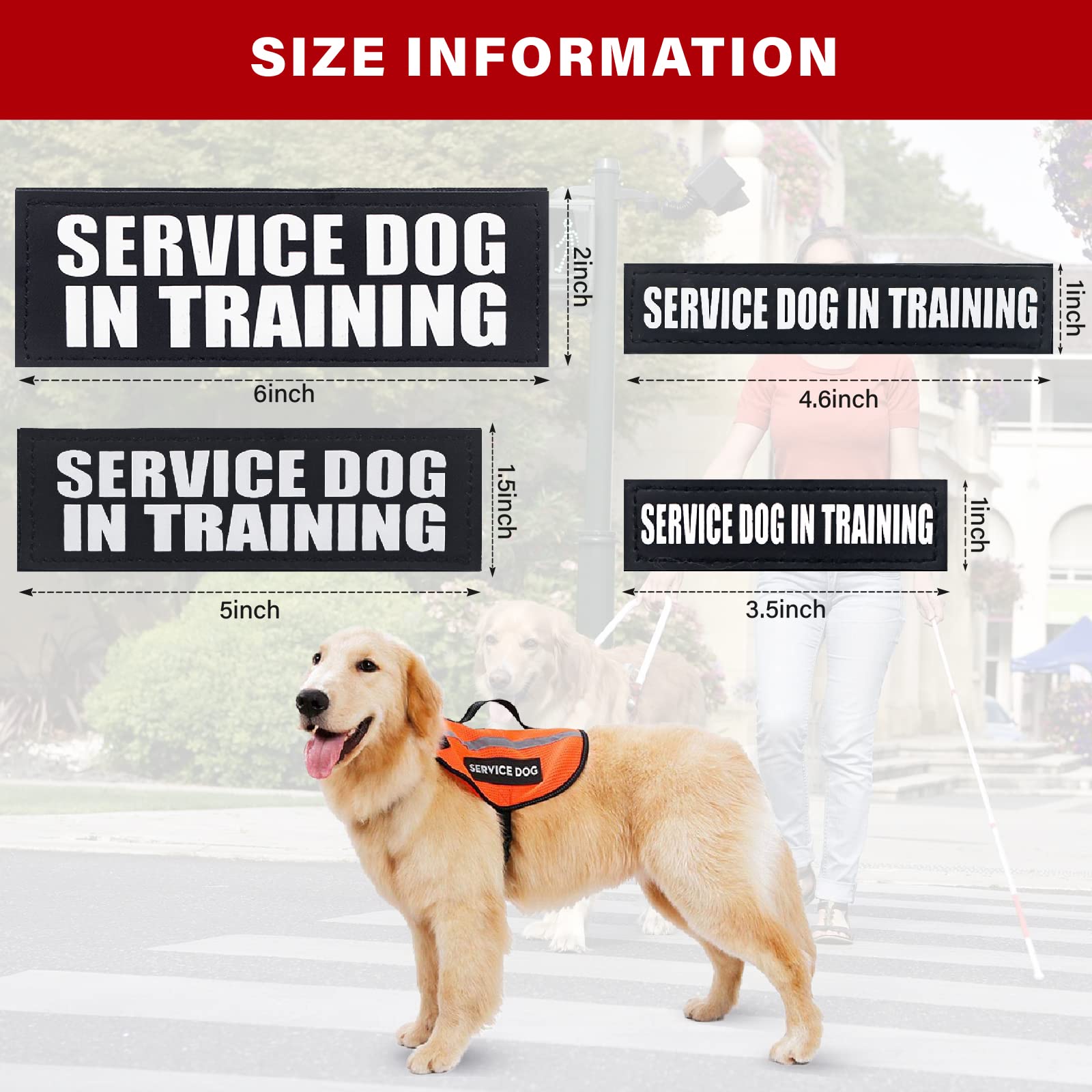 Service Dog Patches, 2Pack Black Removable Vest Patch For Dogs, Dog Patches With Hook Backing For Harness, Service Dog In Traini