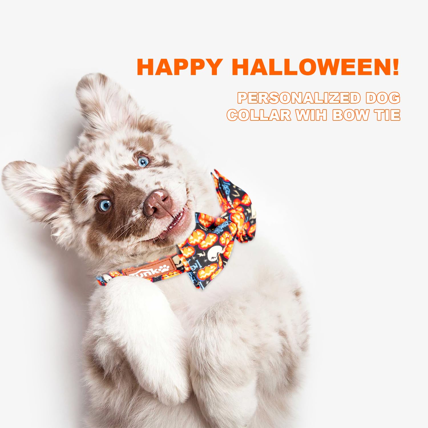 Tunkoo Happy Halloween Dog Collar With Pumpkin - Durable, Adjustable, And Stylish Pet Collar Available In Small, Medium, Large M