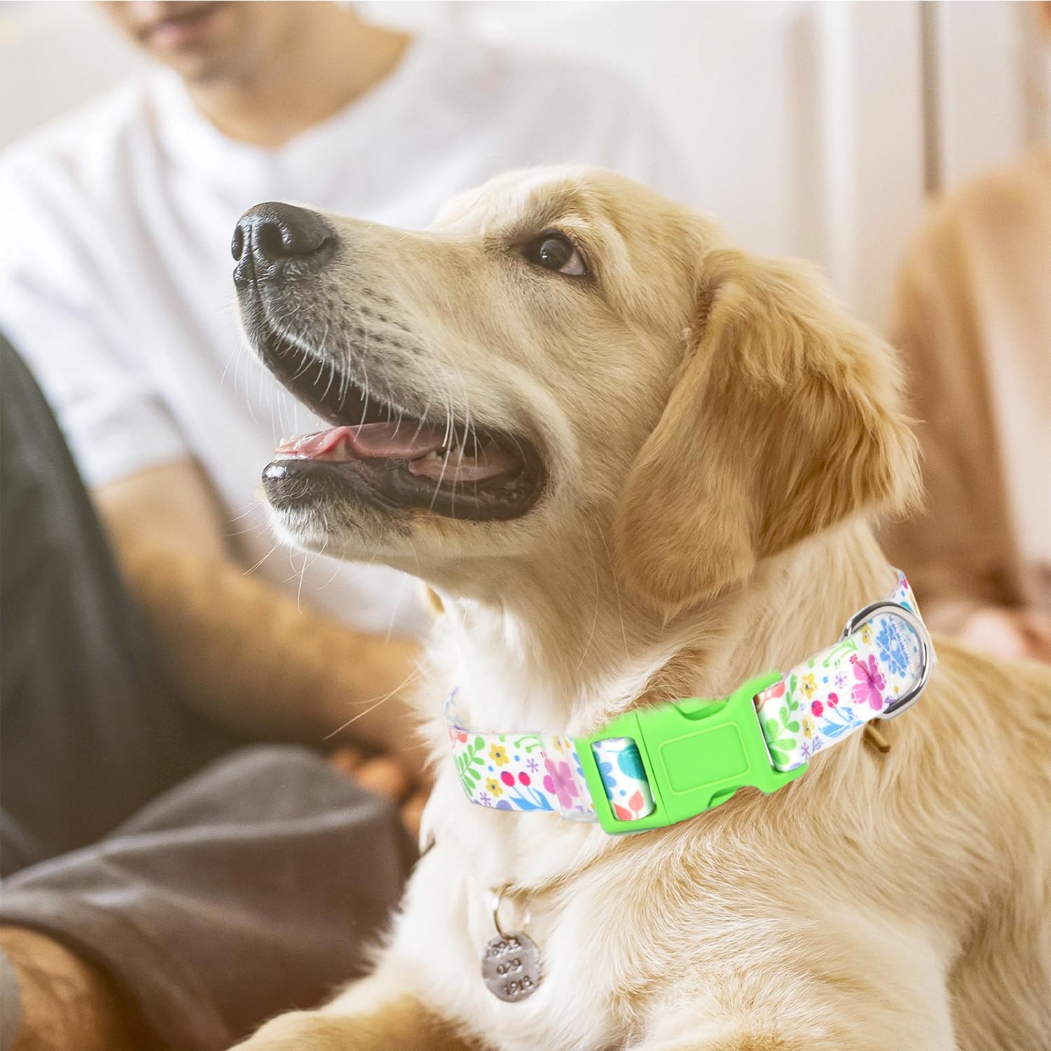 Dog Collar For Medium Dogs, Summer Floral Dog Collar With Green Flowers Patterns, Adjustable Soft Pet Collar For Small Medium La