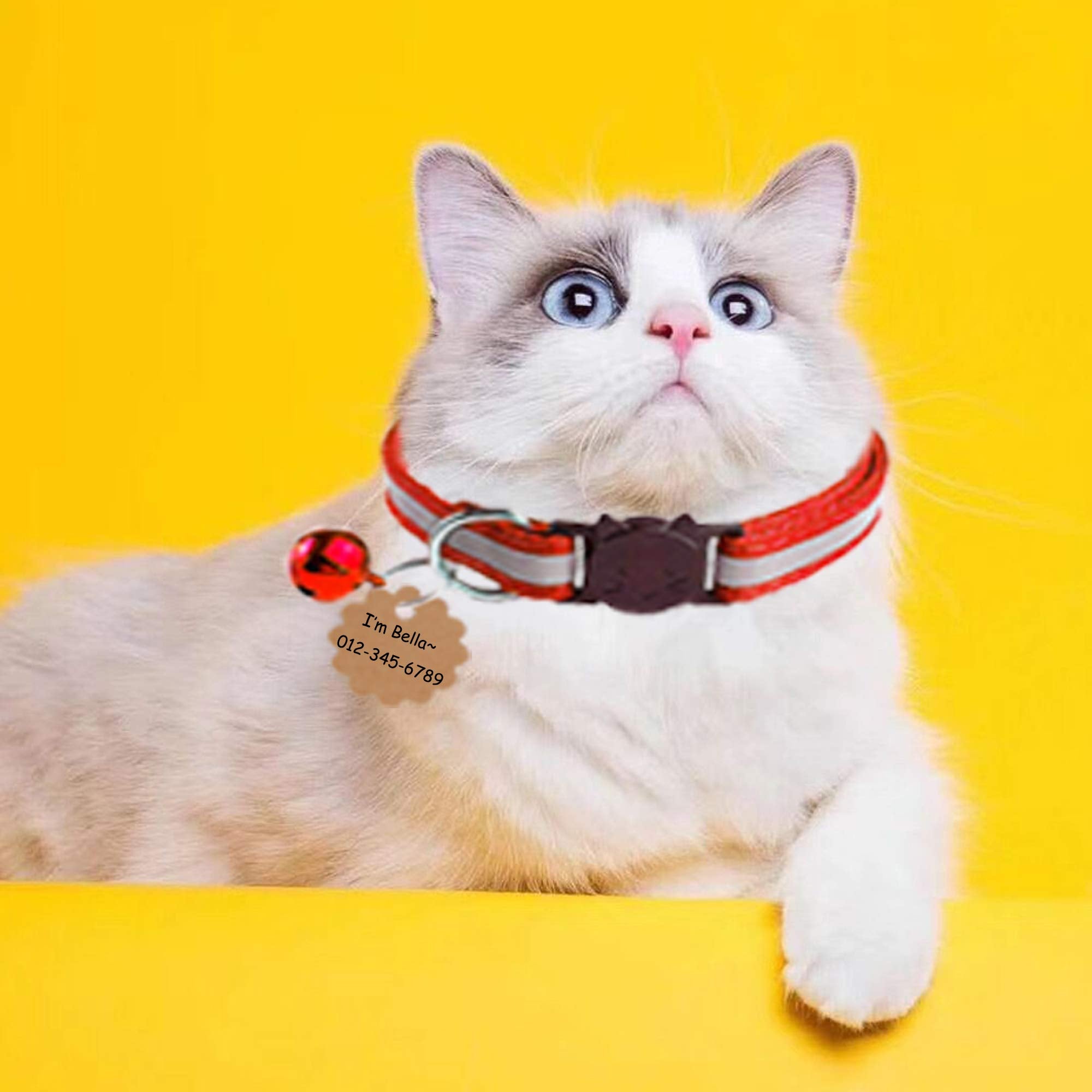 D-Buy Cat Collars With Bell, Breakaway Cat Collars, Reflective Cat Collars, Nylon Cat Collars With Bell, Collars For Cats (4 Colors)