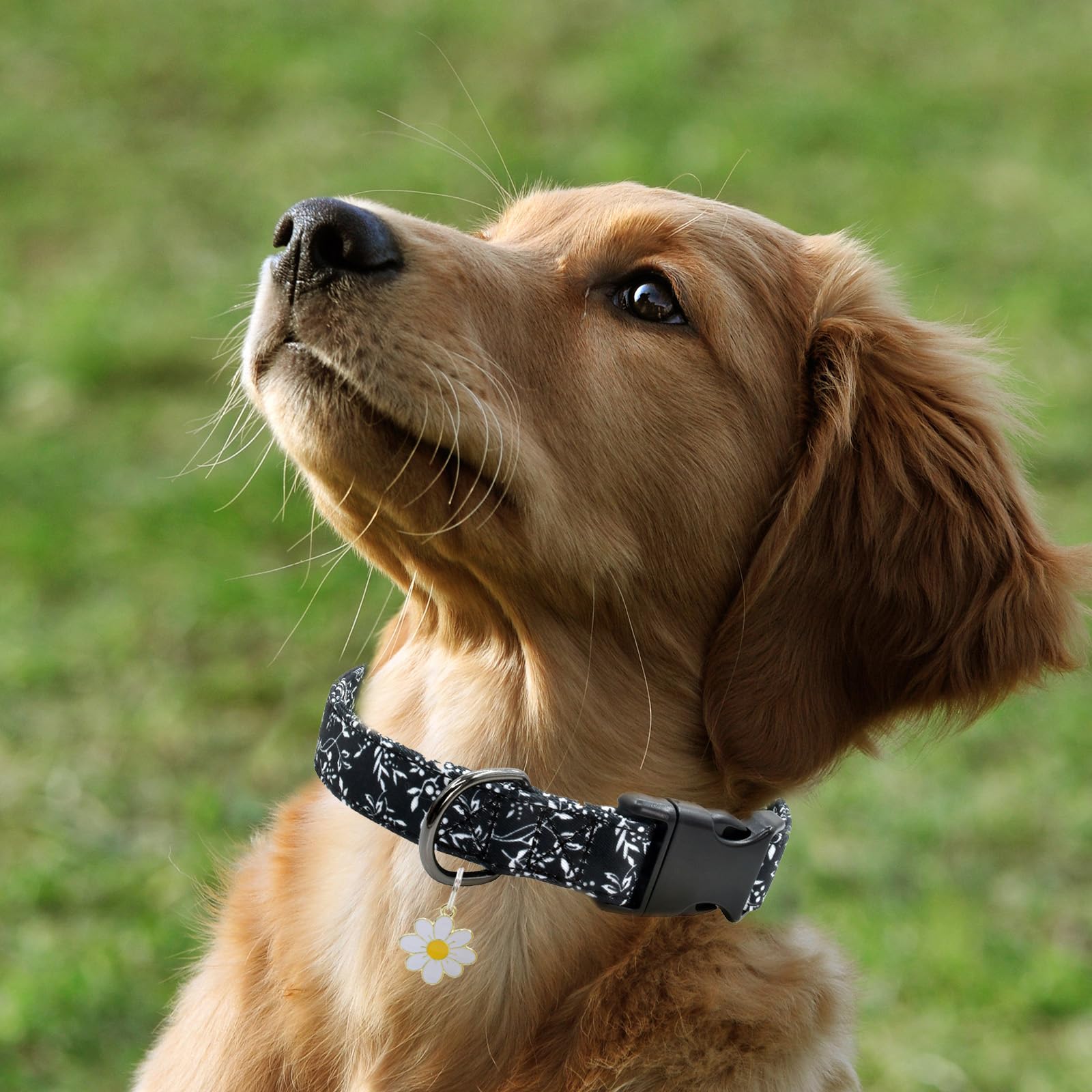 Flower Patterns Dog Collar With Accessories, Soft Cotton Dog Collars For Small Medium Large Female And Male Dogs(White Flower L)
