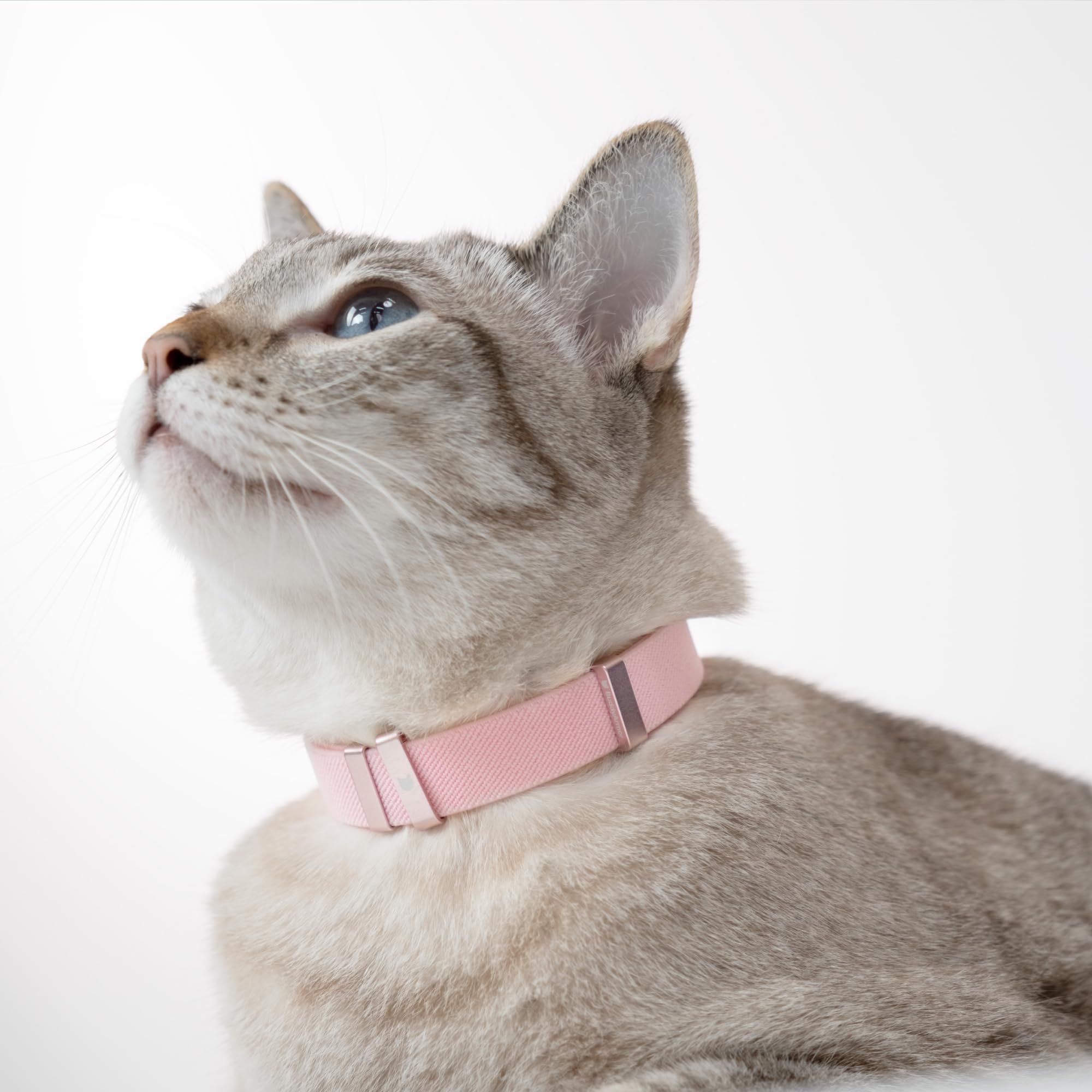 Buddyarmor Safety Cat Collar - U.S. Ida Gold Awarding Design, Stretch Elastic Quick Release, Non Breakaway - Light Weight For Kitten, Neck Fit 5.9'-11.8' For All Small Large Cat,S(Monet Purple)