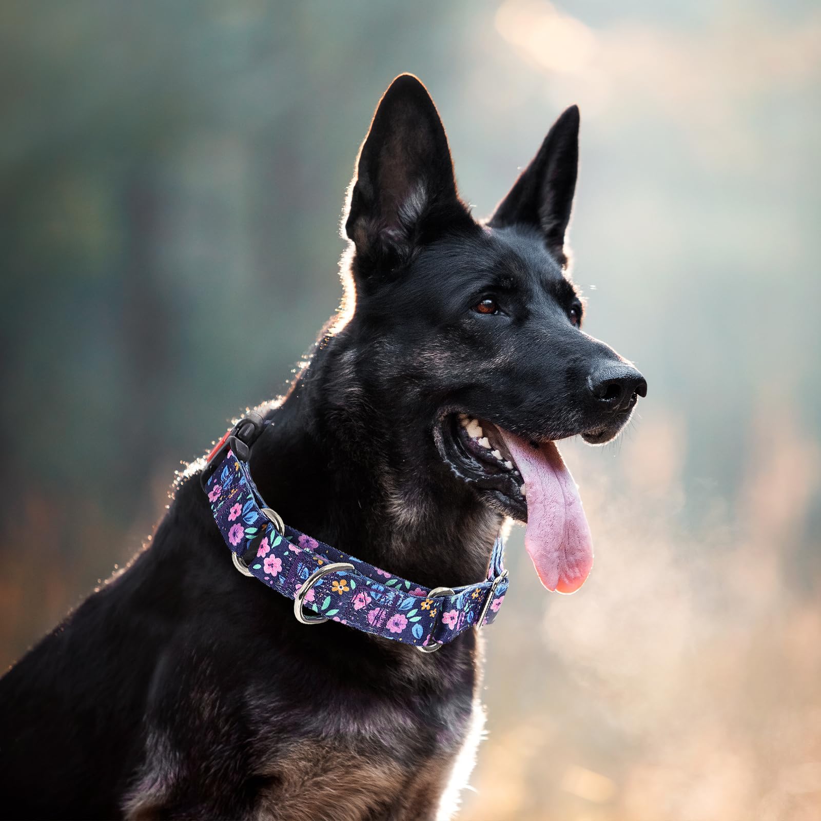 Martingale Collar For Medium Dogs, Heavy Duty Training Collars With Bull Flower Design, Adjustable No Slip Collar With Safety Bu