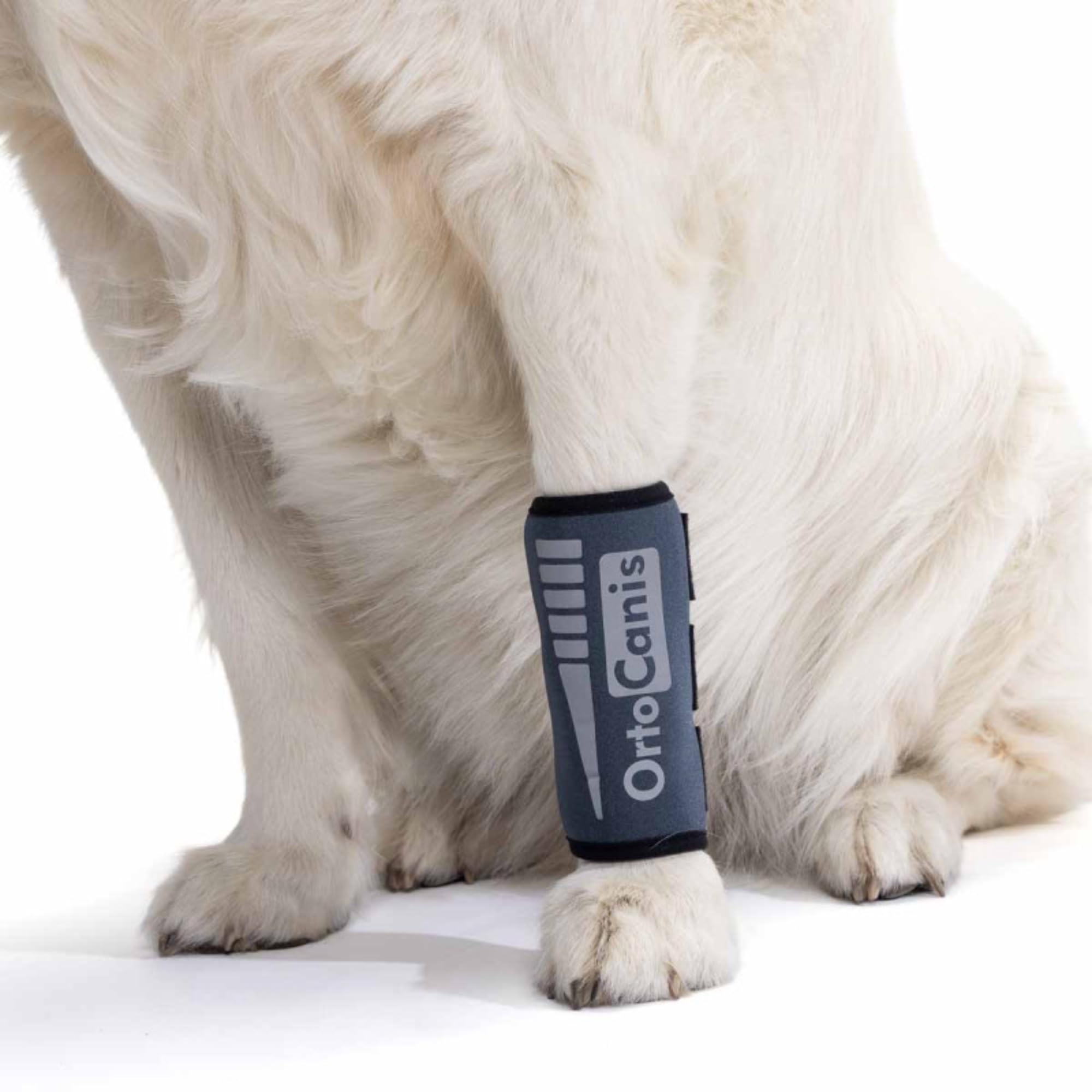 Ortocanis - Carpal Brace for Dogs with Arthrosis, Ligament or Tendon Injuries, or Agility Dogs, Size L