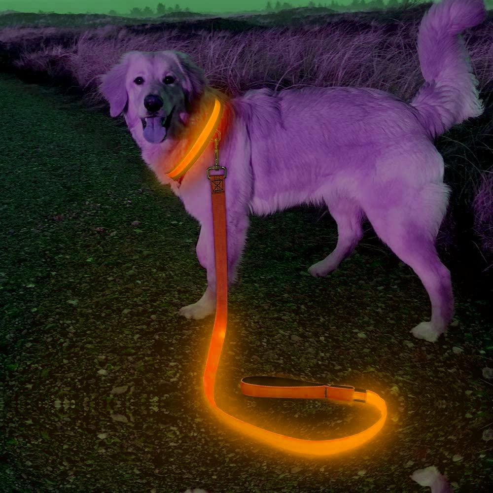 Candofly Reflective Led Dog Leash Rechargeable Pet Leash 4 Ft Dog Rope For Small Medium Large Dogs (Orange)
