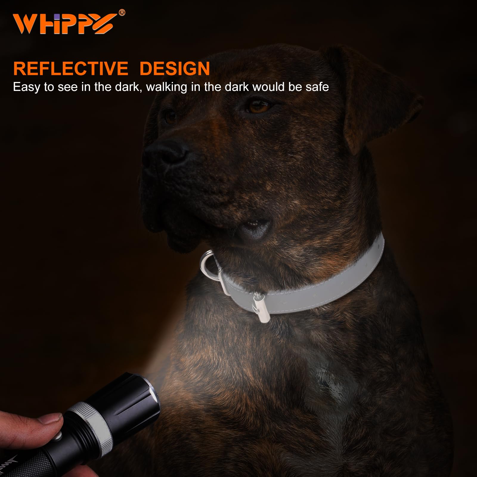 Whippy Leather Dog Collar For Medium Large Dog Adjustable Soft Leather Padded Puppy Collar With Alloy Buckle Heavy Duty Waterpro