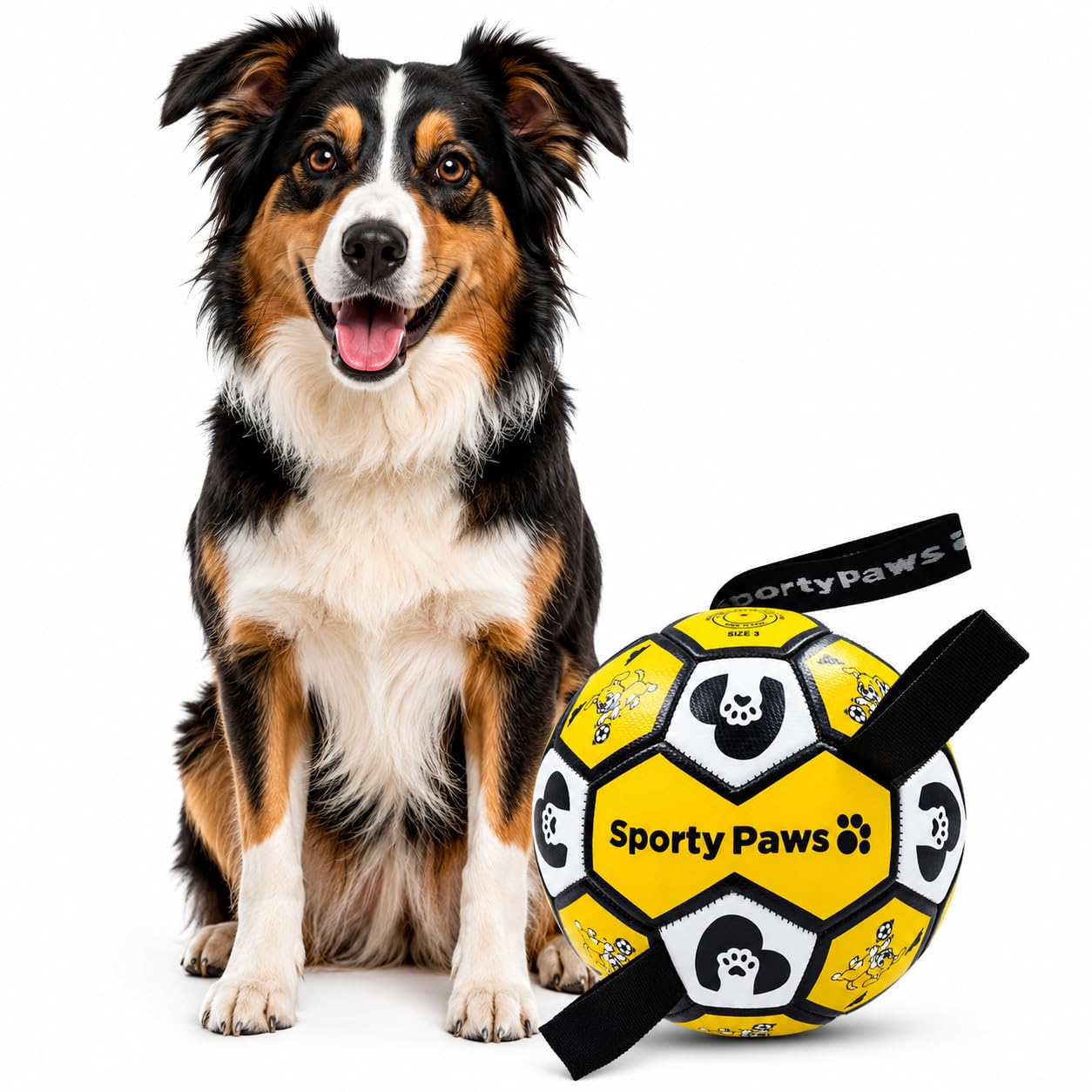Sporty Paws Dog Ball Toy with Holding Loops, Durable PVC Dog Toys Ball for Fetch & Tug Training, Interactive Pet Toys for Medium