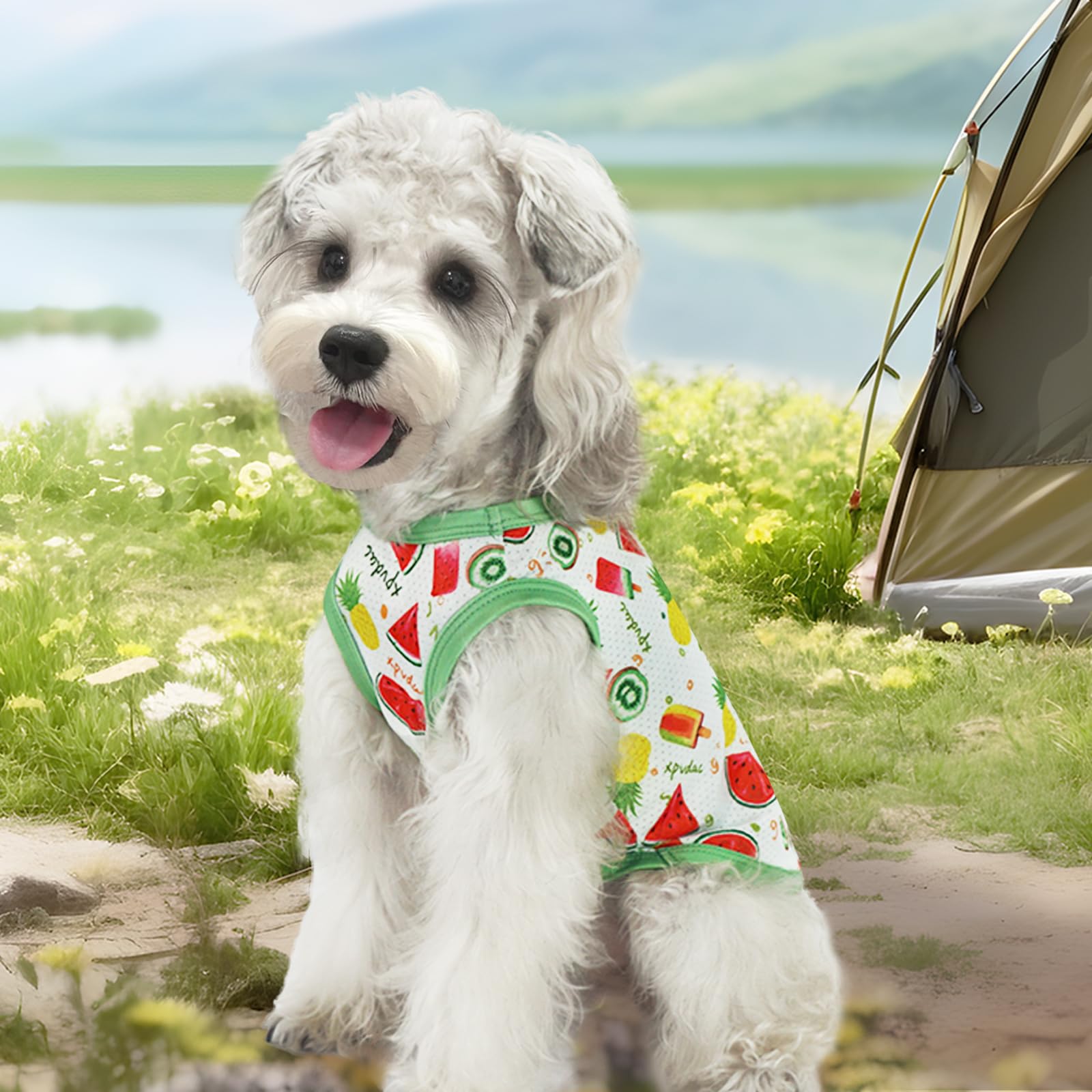 Xpudac 4 Pack Dog Shirts Cooling Quick Dry Summer Dog Clothes For Small Dogs Boy Girl Lightweight Breathable Dog Cooling Vest -M