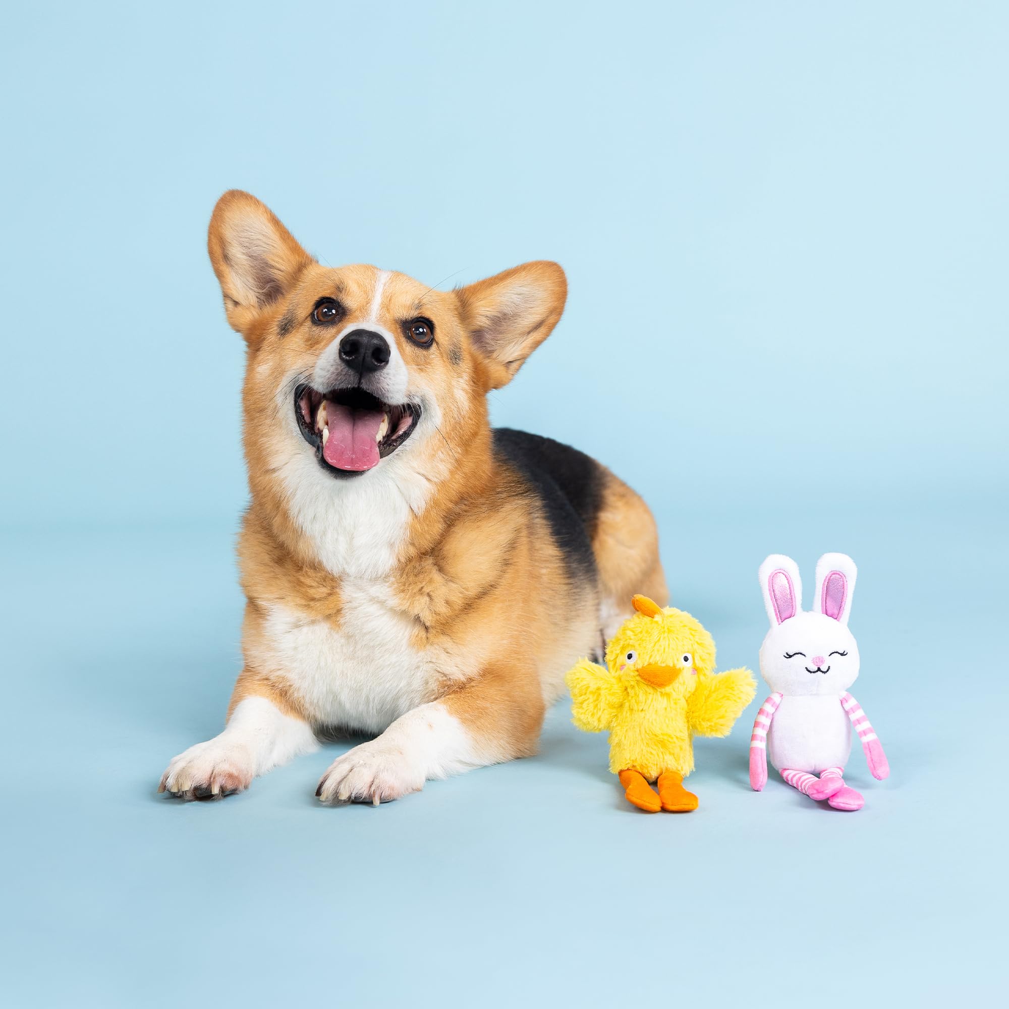 Fringe Studio Plush Dog Toy, 2 Pieces Set, Hoppy Go Clucky, Petshop Collection (312064)