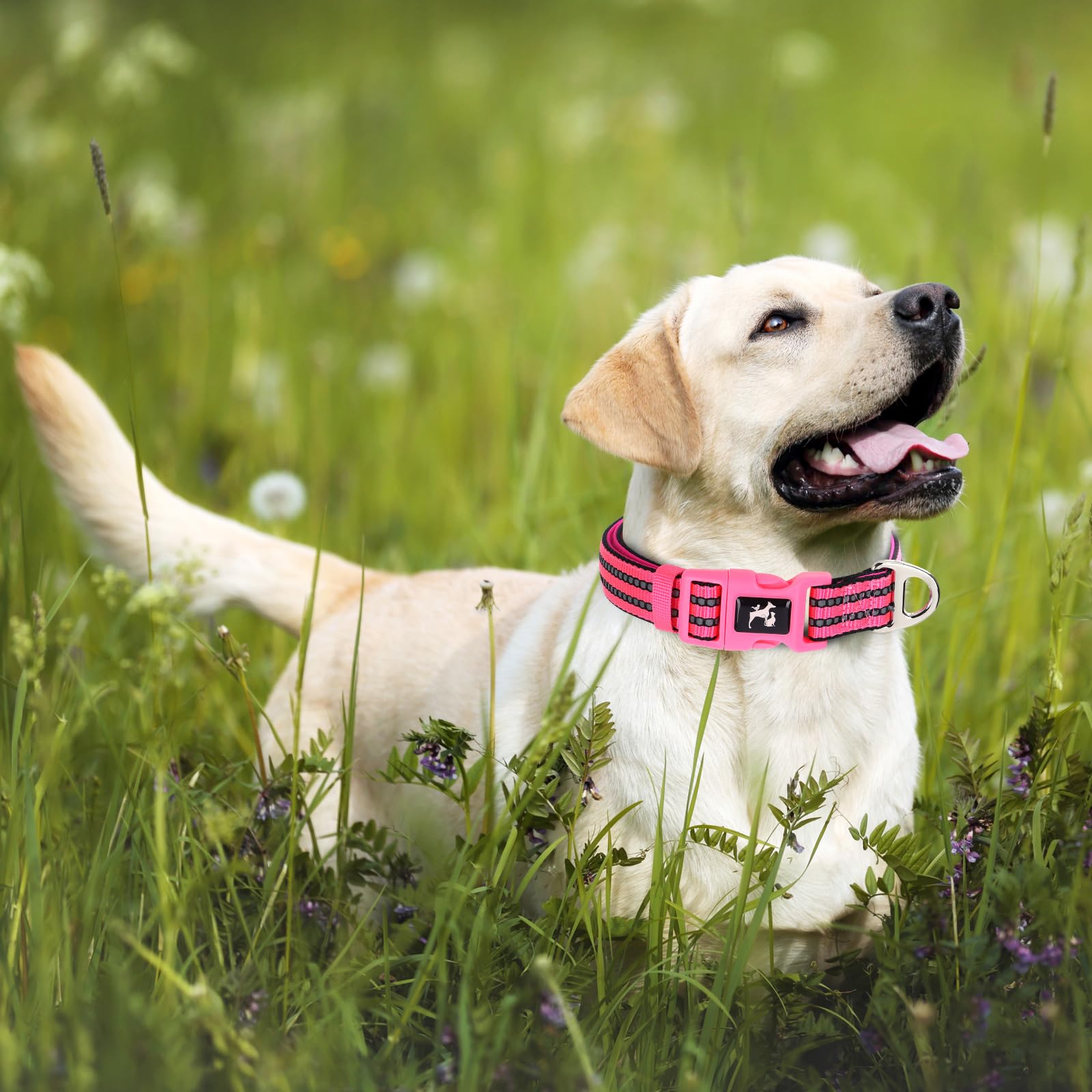 Onefojojo Pink Girl Dog Collar,Reflective Dog Collars With Soft Neoprene Breathable Quick Release Basic Dog Collars For Medium L