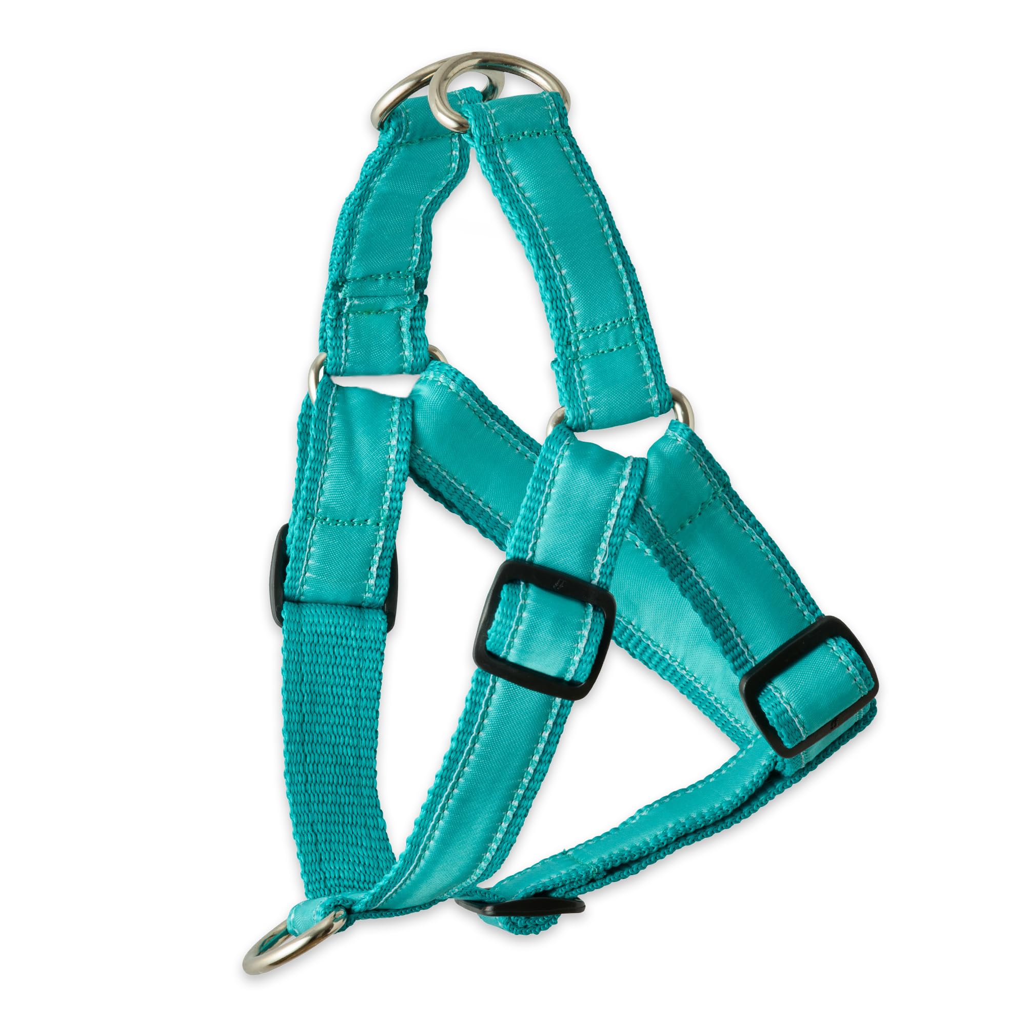 Pet Passion Remy - The Recycled Ribbon Harness, Turquoise, Large