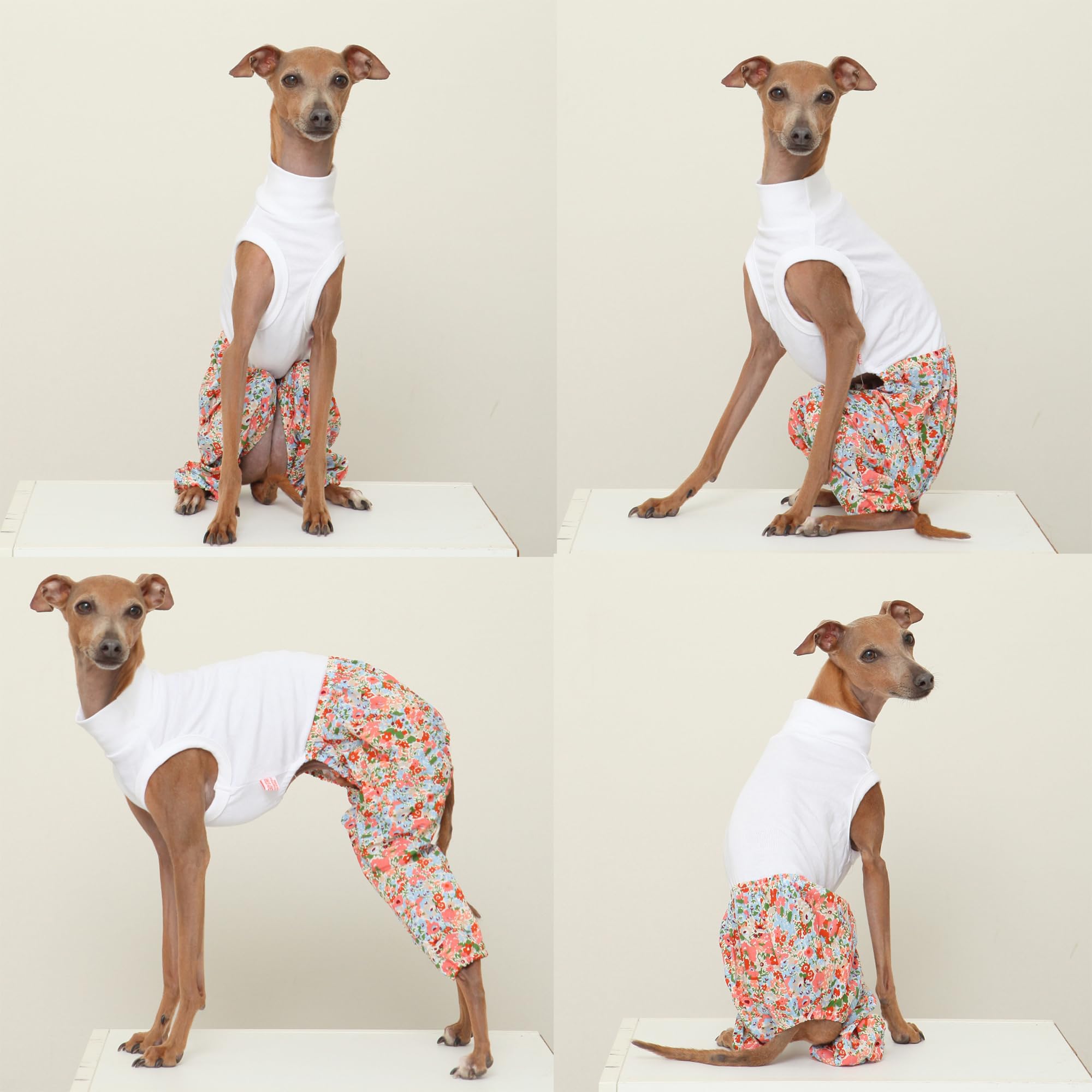 D Doggy Star Italian Greyhound Clothes Mombbe Onesie Outfit Whippet For Dog Coat (L,Mombbe Orange)