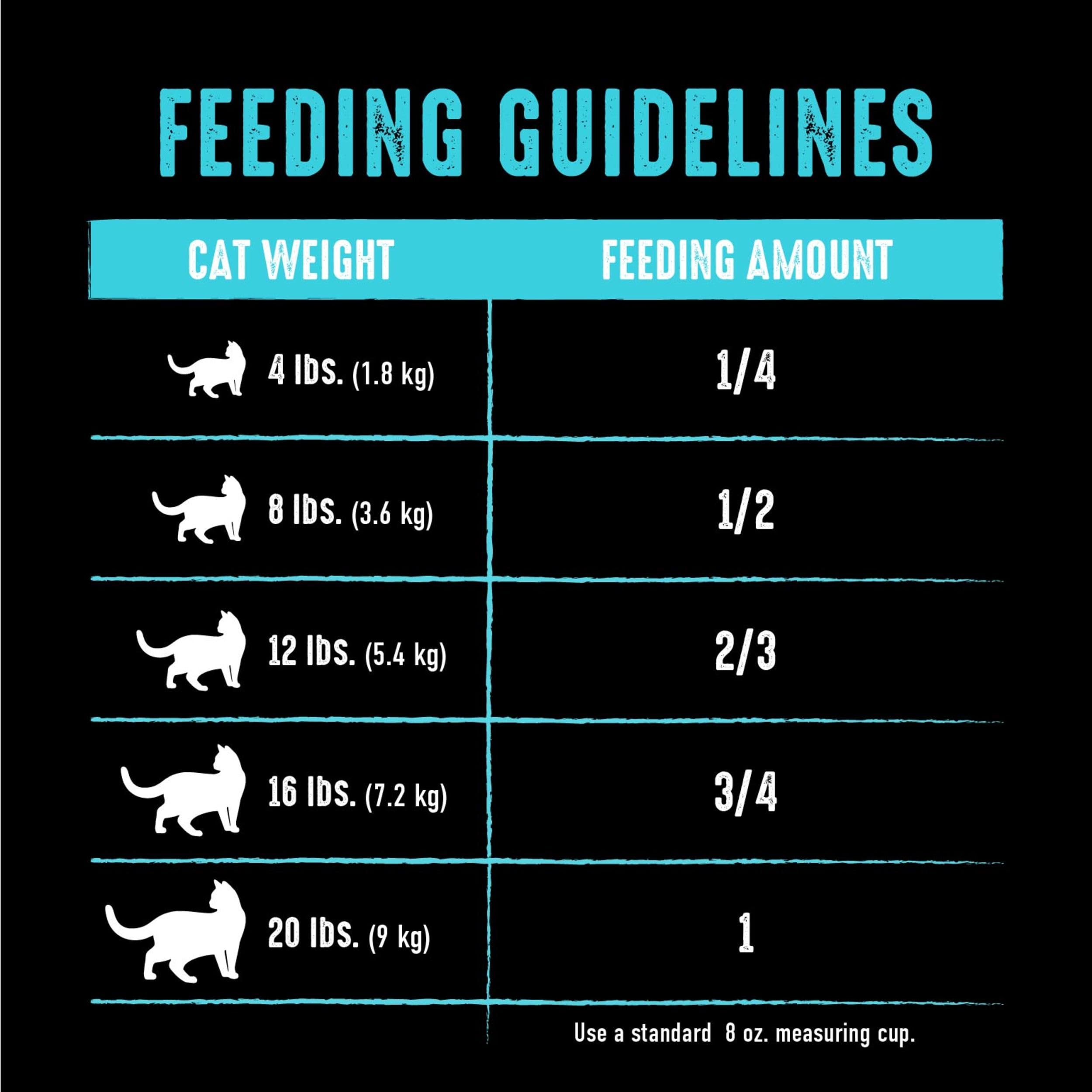 CRAVE Grain Free Adult High Protein Natural Dry Cat Food with Protein from Salmon & Ocean Fish, 10 lb. Bag