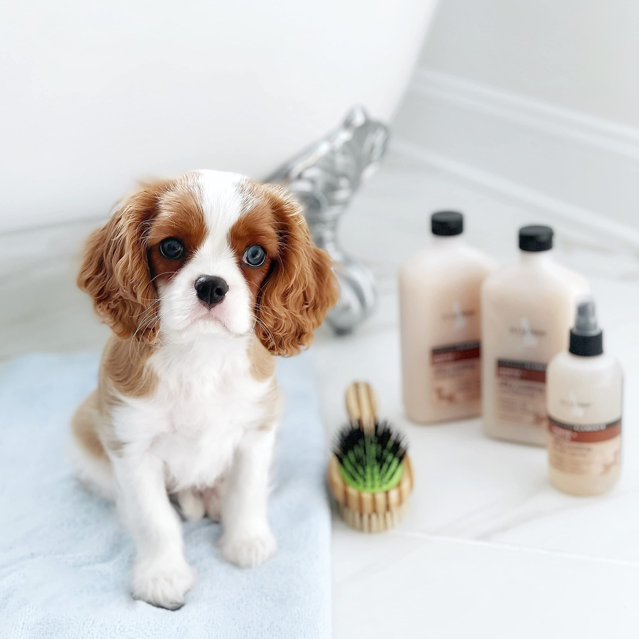 Isle of Dogs - Everyday Elements Silky Coating Conditioner For Dogs - Jasmine + Vanilla - Moisturizing Pet Conditioner With Aloe