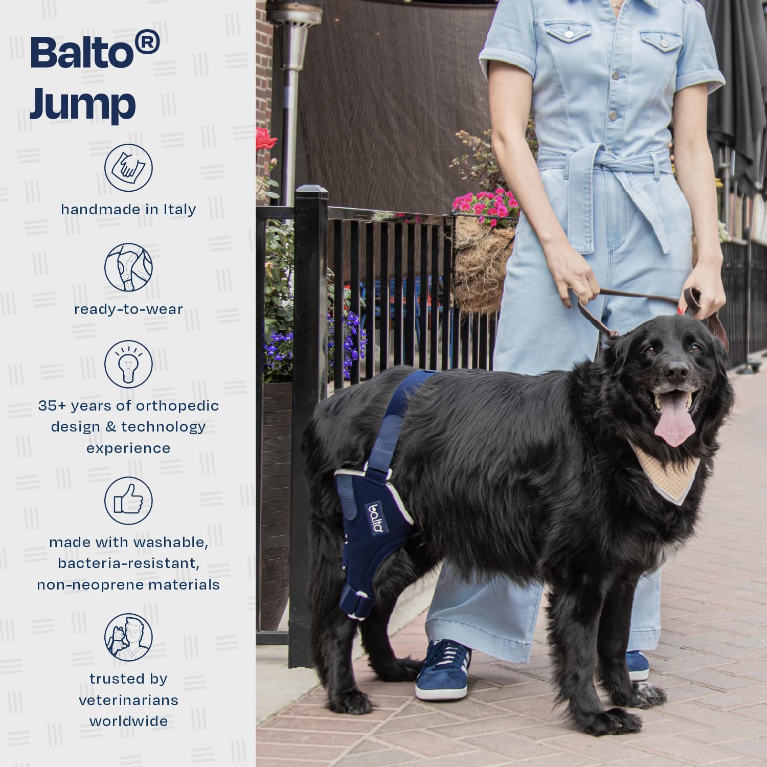 Balto Jump CCL Brace - Dog Knee Brace with Aluminum Splints - Pre/Post Surgery Support Helps Prevent New Injuries - Right Leg, M
