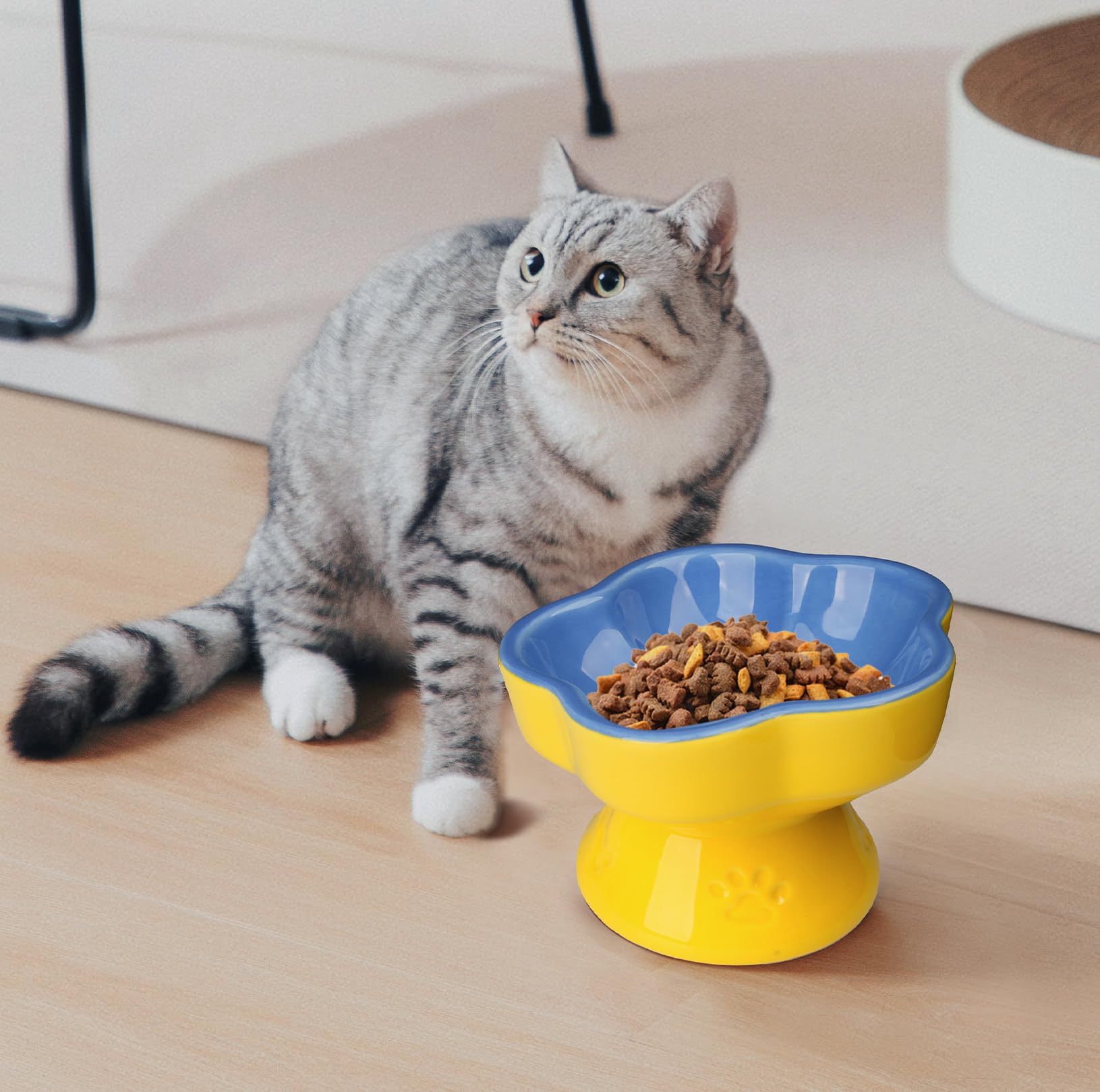 S&Qs CERAMICS Raised Cat Bowl, Elevated Cat Bowl for Food and Water, Ceramic Titled Dish, Anti Vomit & Whisker Friendly, Microw