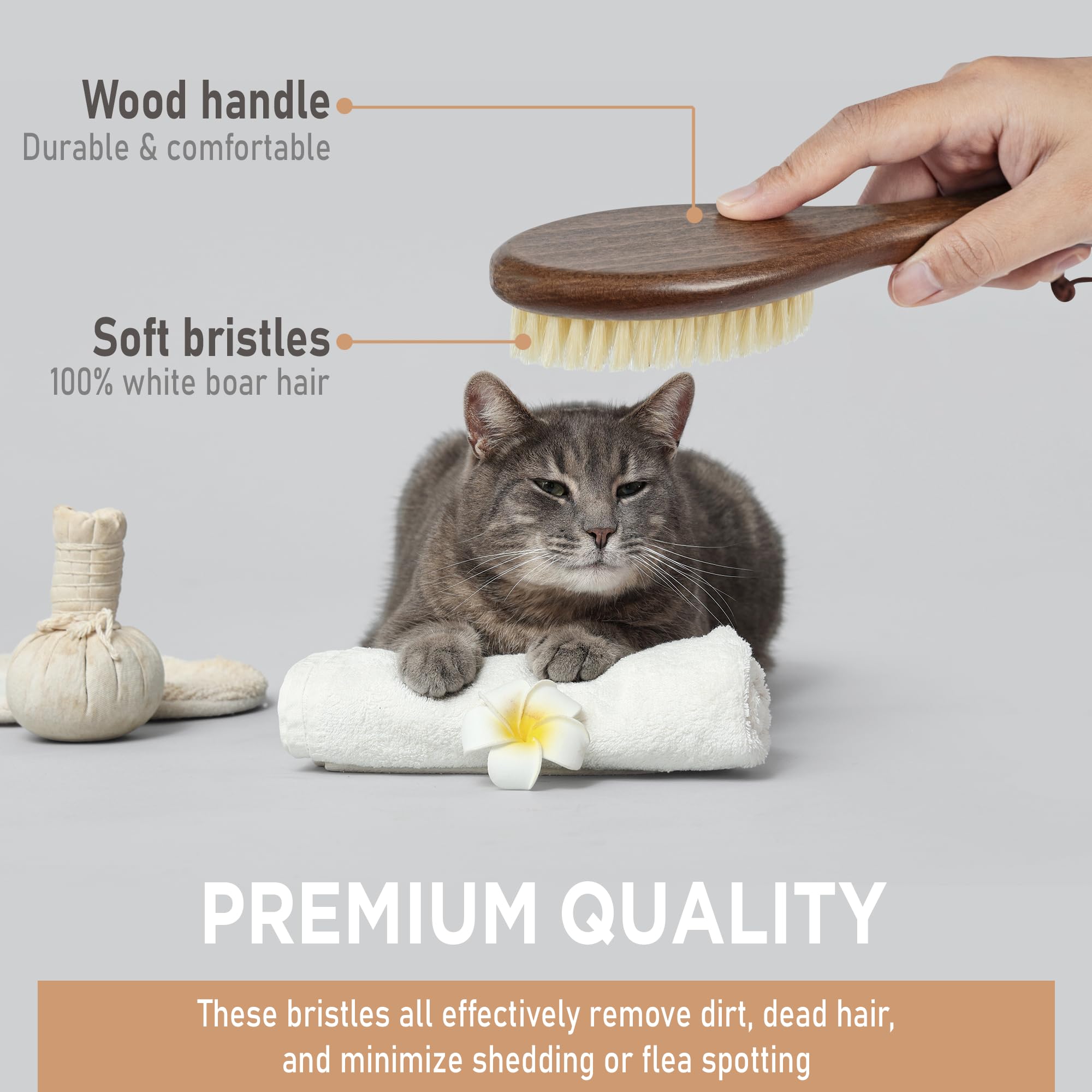 Takavu Natural White Boar Bristle Cat Brush - Gentle Grooming Tool For Sensitive Skin, Smoothing Fur & Healthy Shine - Soft Pet