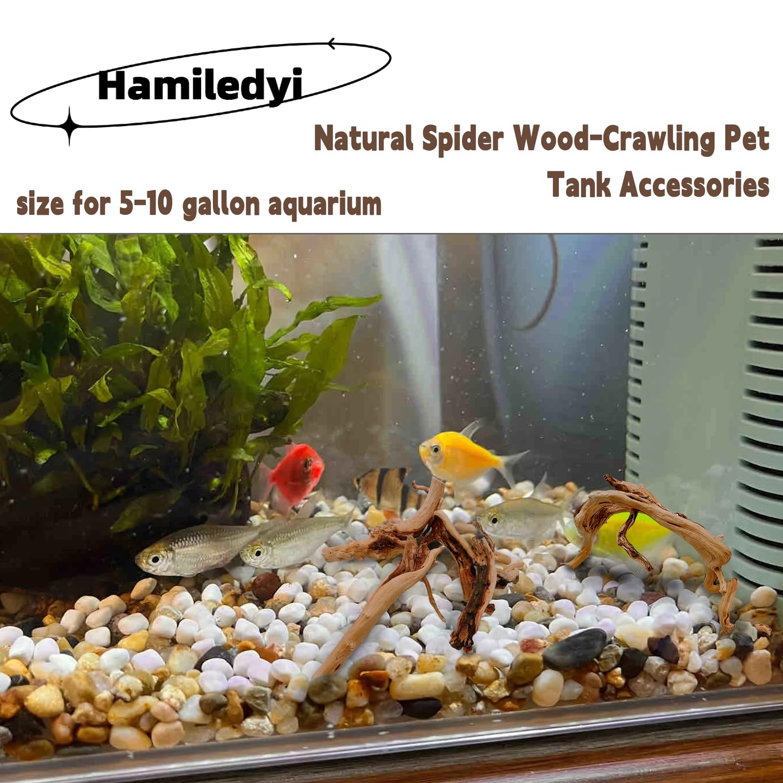 Hamiledyi 6 Pcs Aquarium Driftwood Natural Spider Wood Branches Reptiles Aquarium Fish Tank Decoration Assorted(6 Inch-8 Inch)
