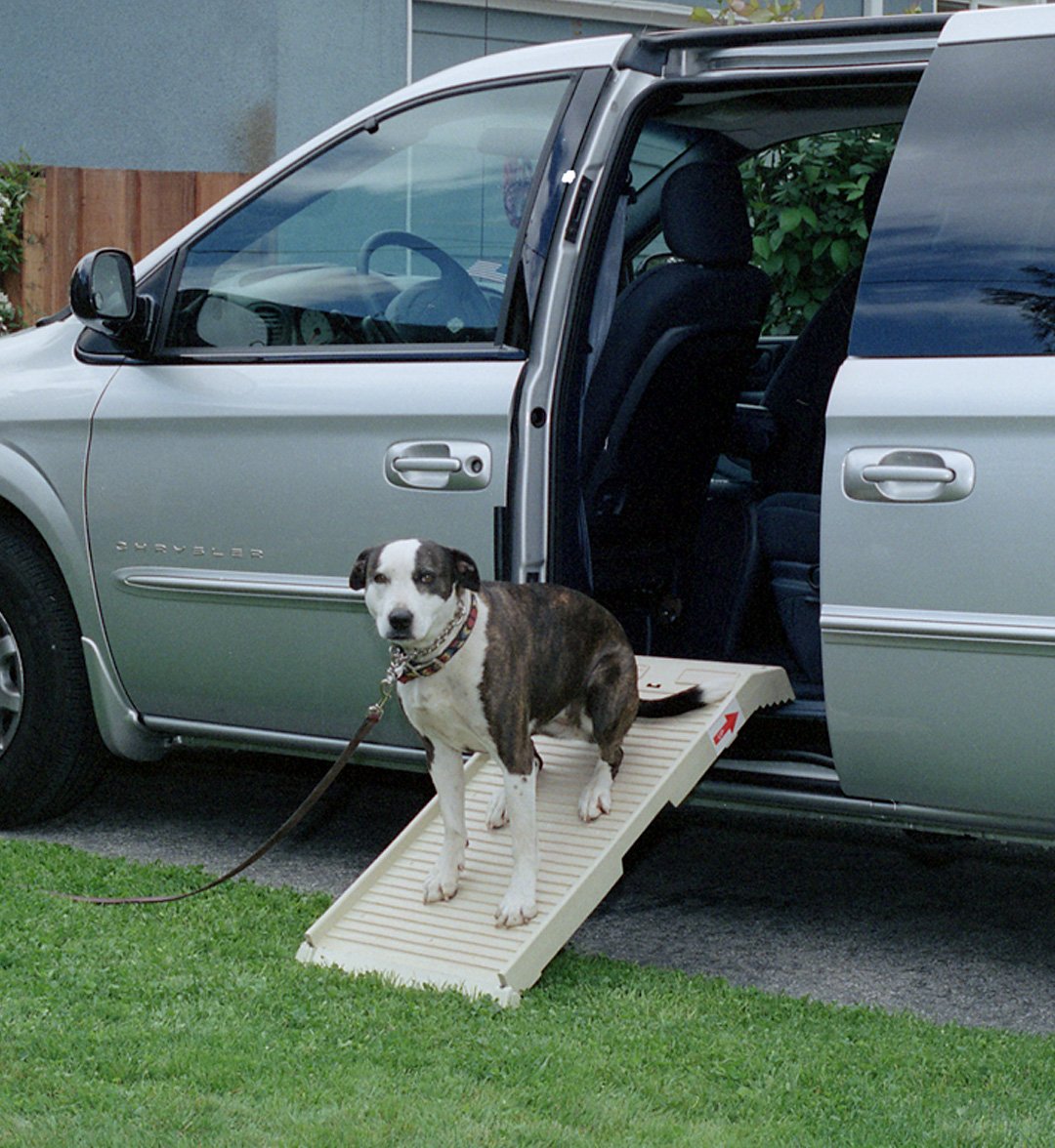 PetSTEP HalfSTEP Pet Ramp
