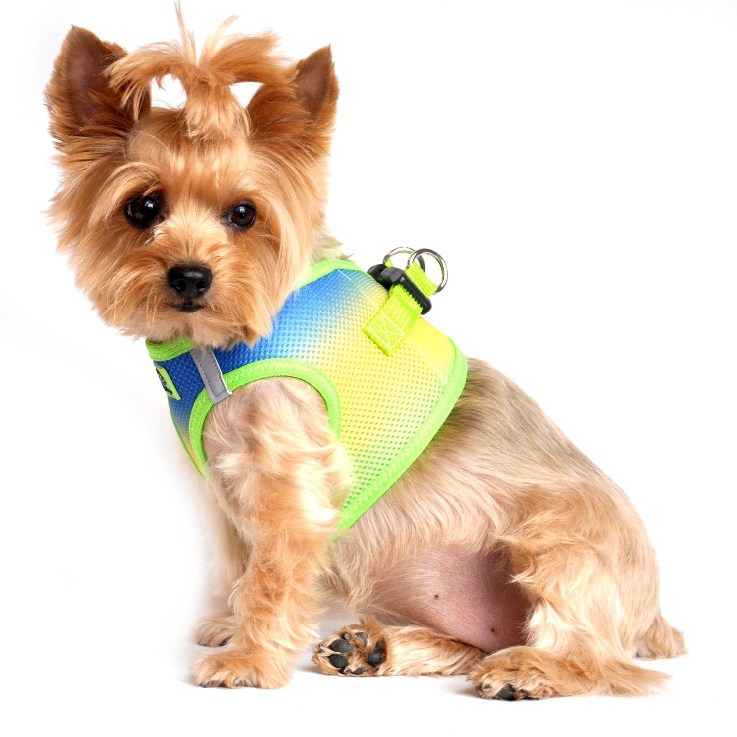 Doggie Design American River Dog Harness Ombre Collection - Cobalt Sport Xs