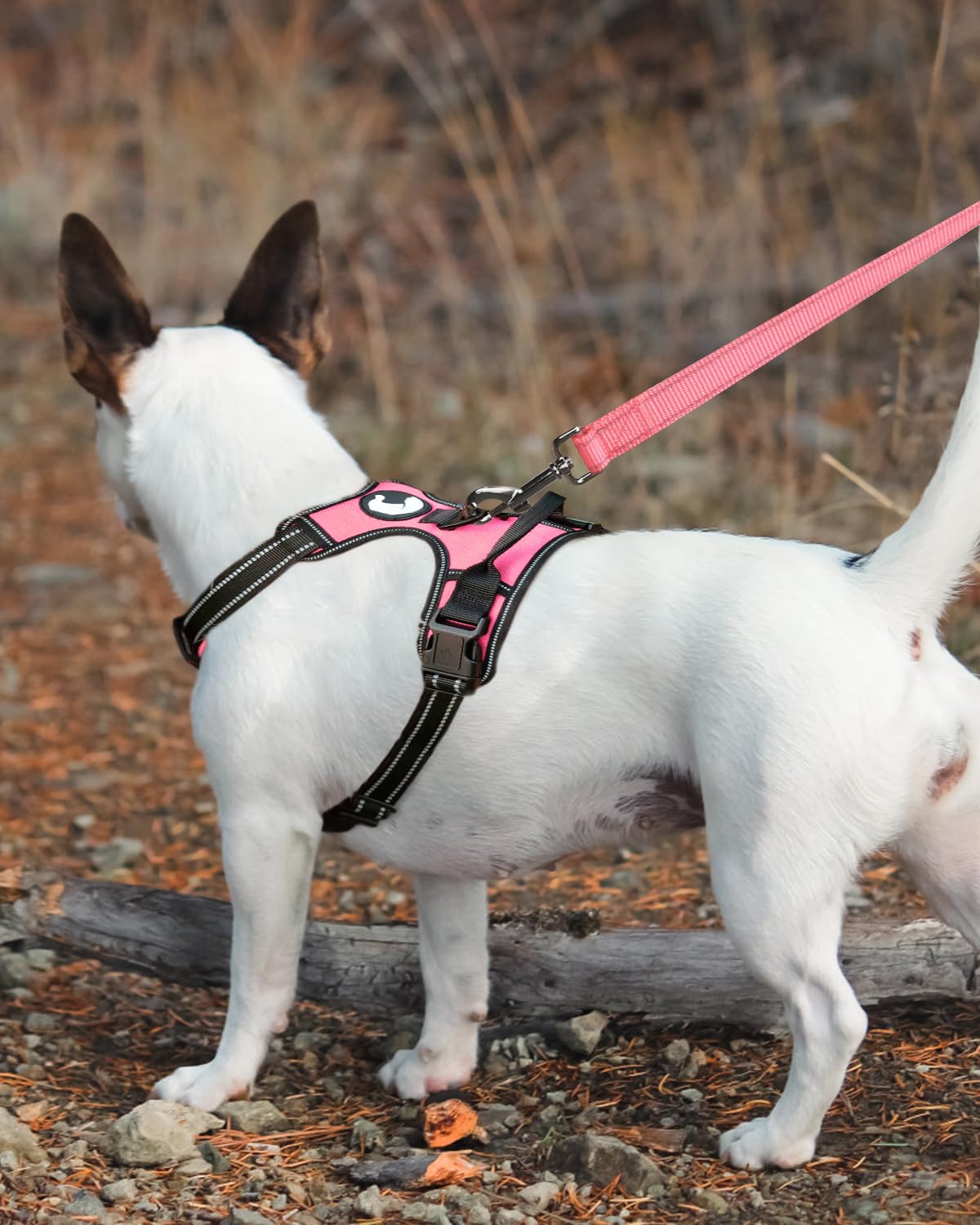 Joytale Double-Sided Reflective Dog Leash, 6 Ft/5 Ft/4 Ft, Padded Handle Nylon Dogs Leashes For Medium & Large Dogs Walking, Pin