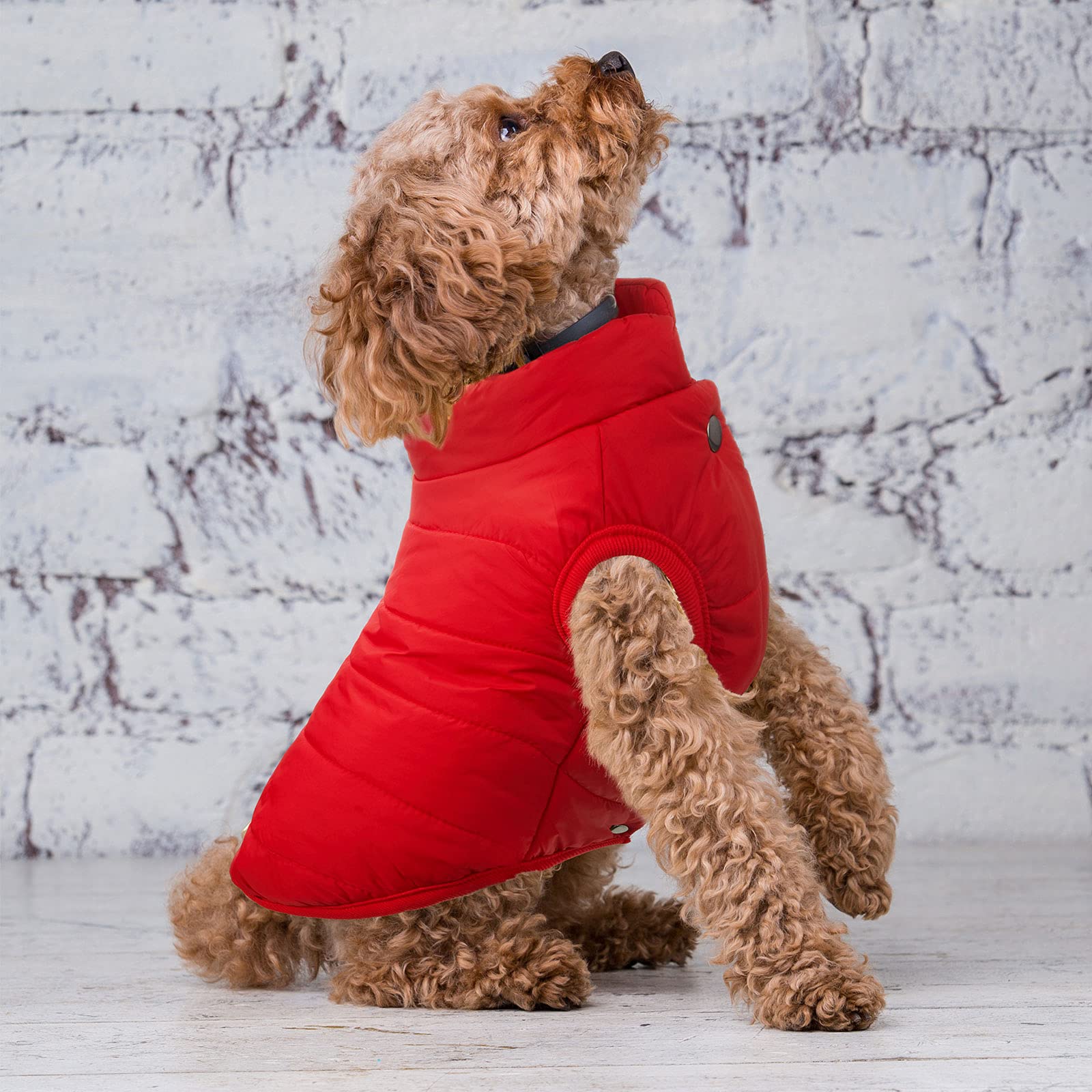 Syhood 2 Pieces Dog Jacket 2 Layers Fleece Lined Dog Jacket Warm Soft Windproof Small Pet Coat For Winter Cold Weather(Small,Nav