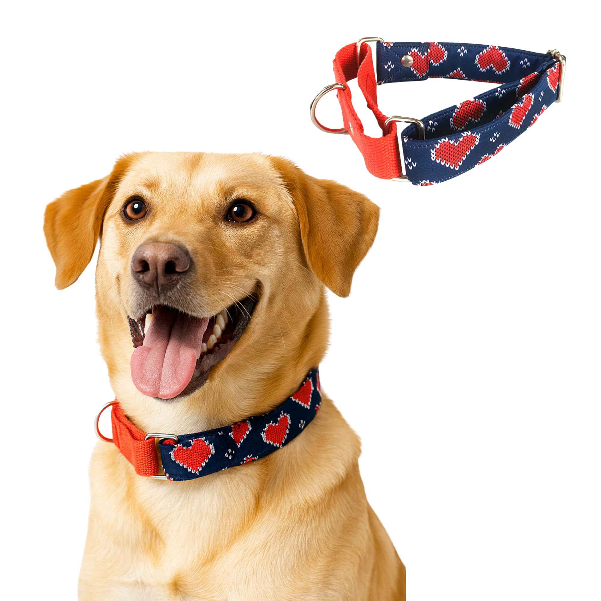 DogOBow Cotton Blue And Red Heart Martingale Dog Collar, Durable, Comfortable & Adjustable Training Collar (Medium)