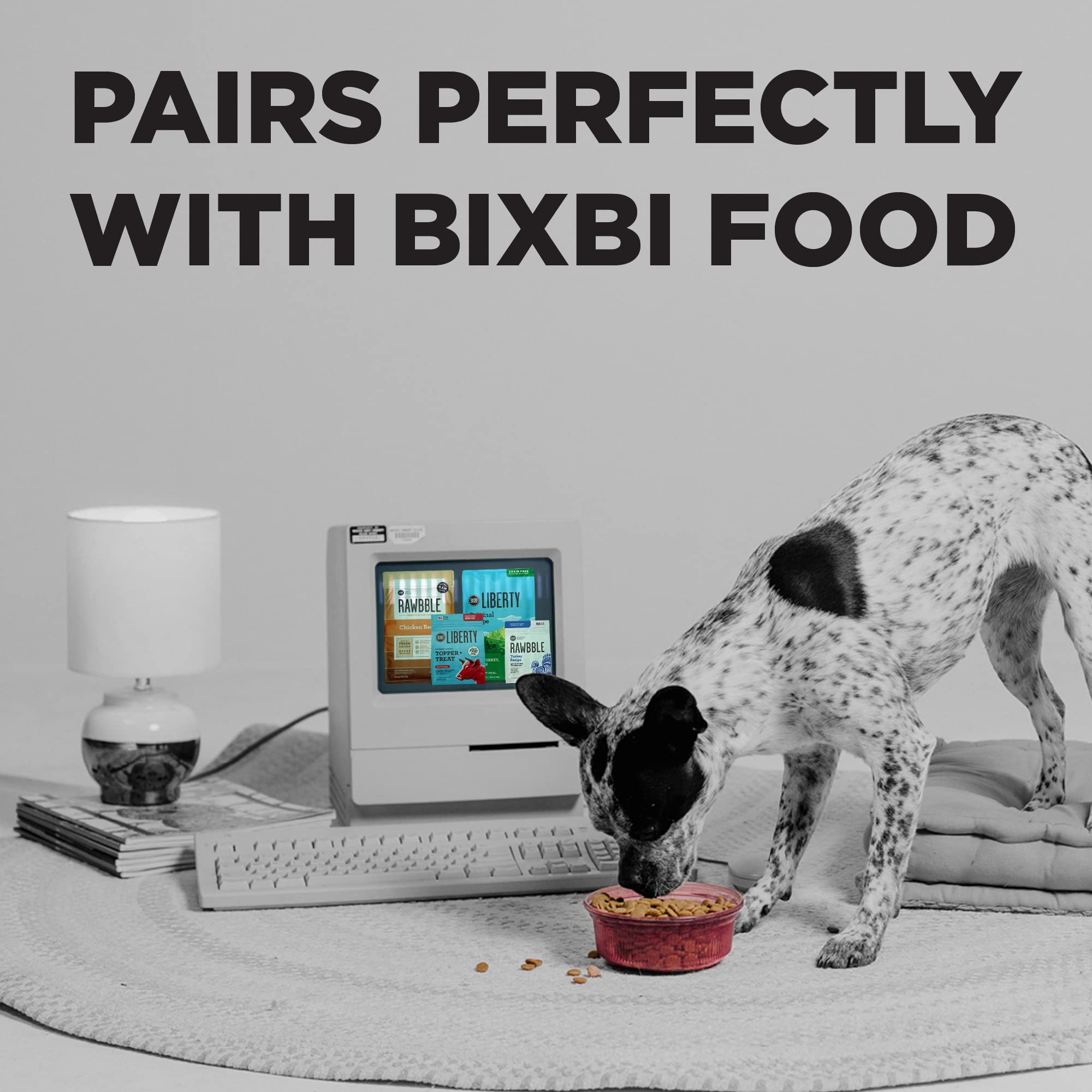 BIXBI Pocket Trainers, Salmon (6 oz, 1 Pouch) - Small Training Treats for Dogs - Low Calorie and Grain Free Dog Treats, Flavorfu