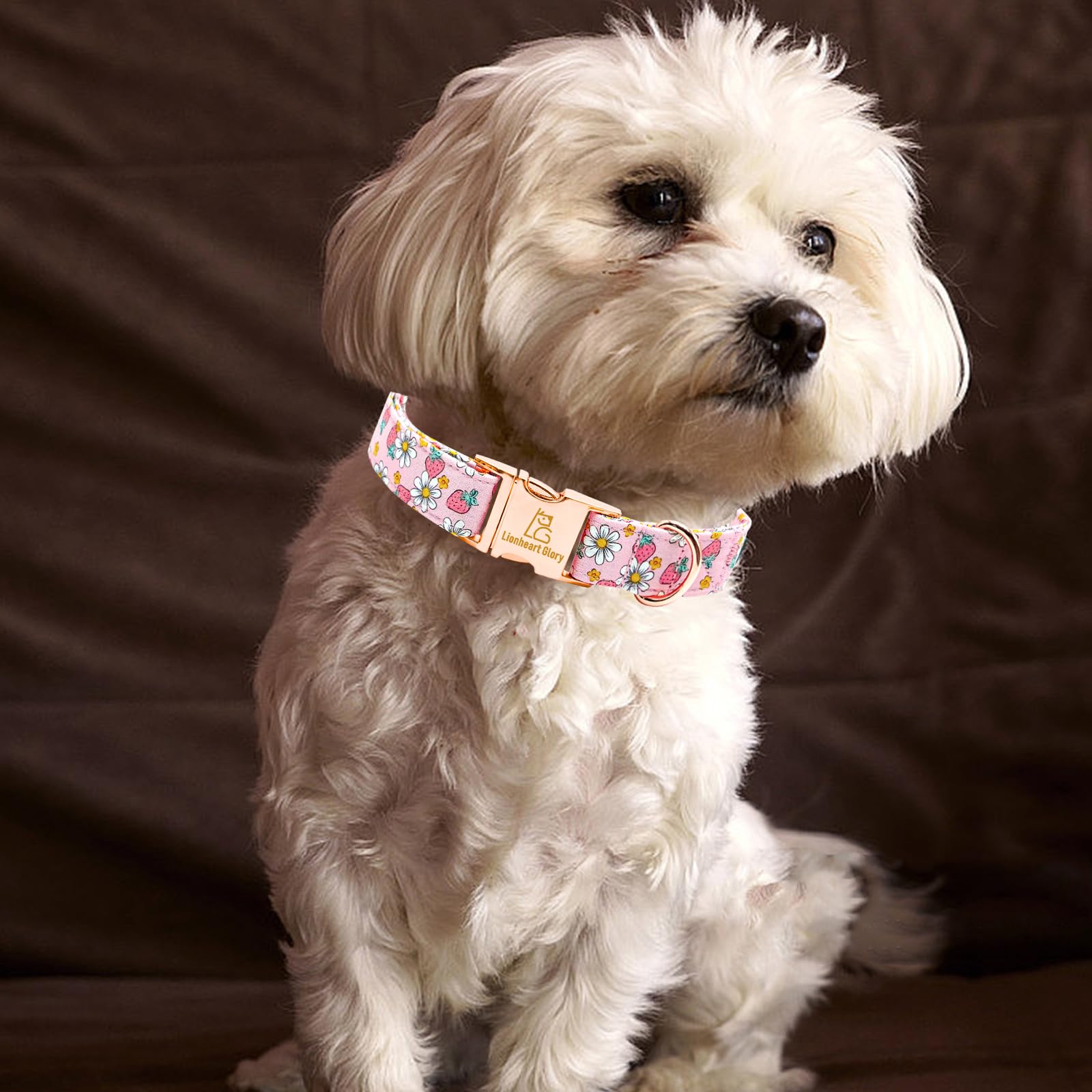 Lionheart Glory Dog Collar Pink Dogs Collar Spring Summer Cute Collars Dog Female Soft Durable Adjustable Dog Collars For Large