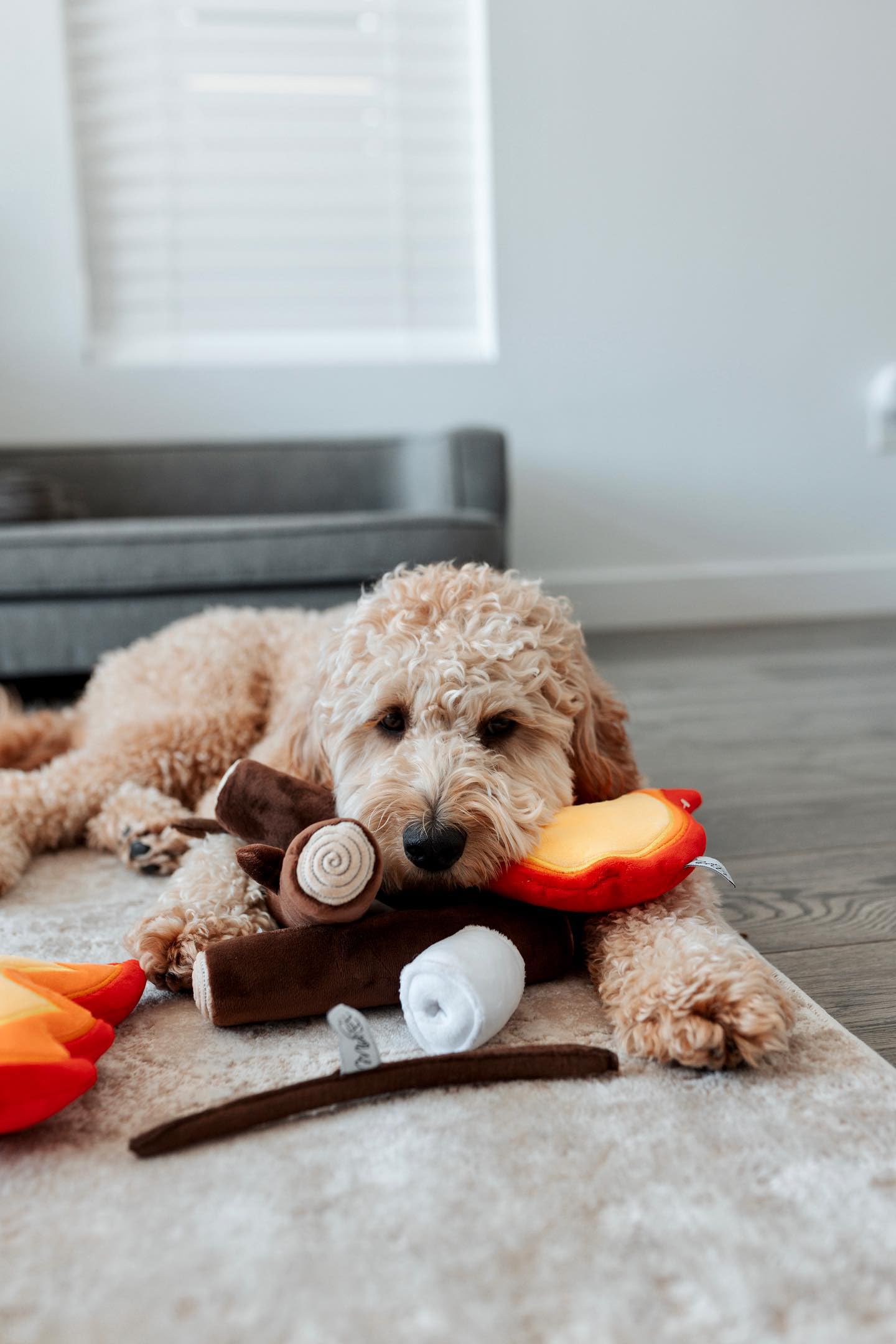 Midlee Campfire Dog Toy