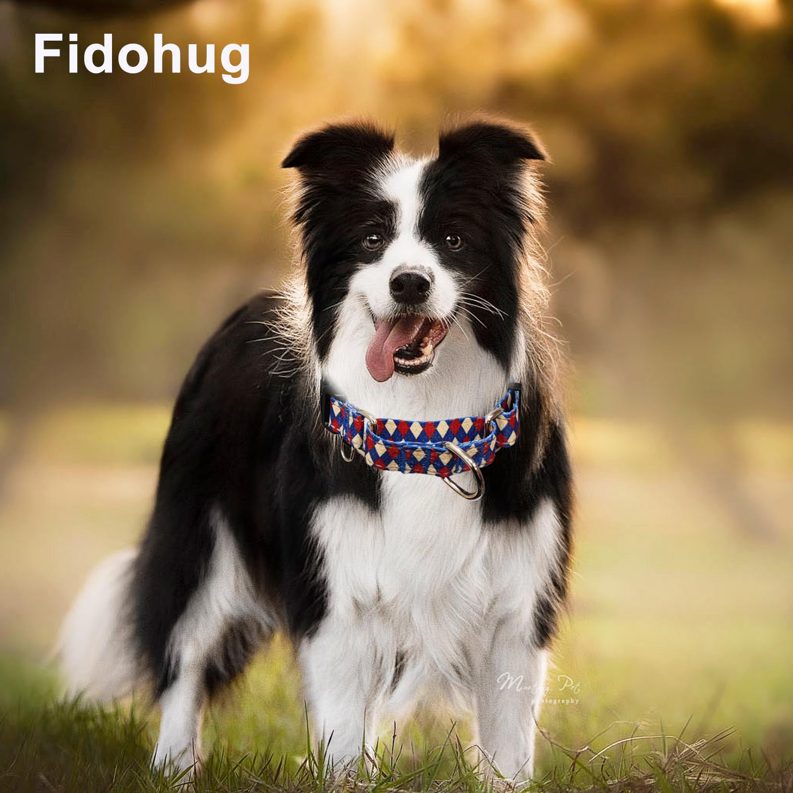 Fidohug Reflective Martingale Dog Collar With Buckle Soft Nylon Geometric Patterns Pet Collars For Medium Dogs (Argyle, M)