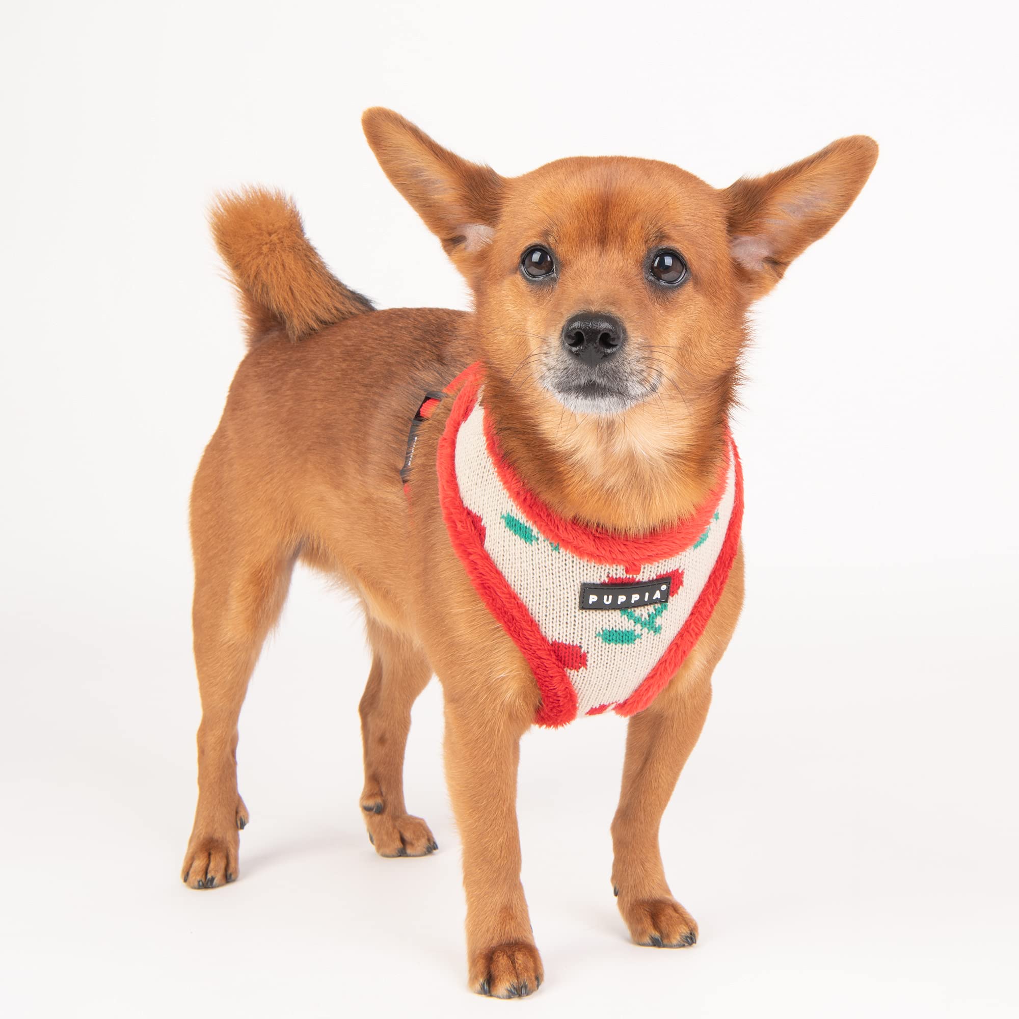 Cheryl Harness A - Red - Xl