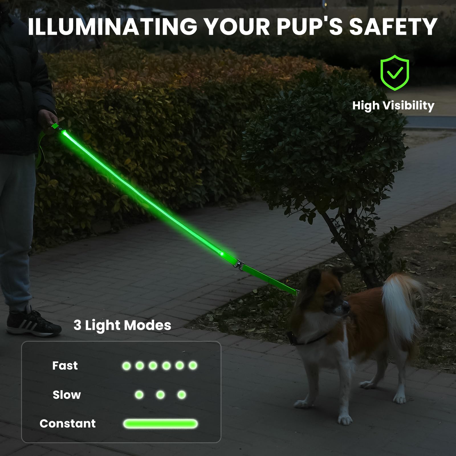 Petisay Led Dog Leash - Rechargeable, Waterproof & Reflective, 6Ft Tangle-Free For Night Walking(Red)