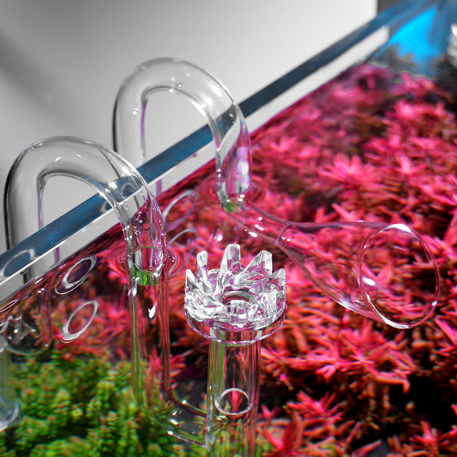 Fzone Aquatic Glass Lily Pipe Set With Lily Skimmer Inflow And Lily Outflow For Aquarium Filter 1/2''(12/16Mm) Tubing
