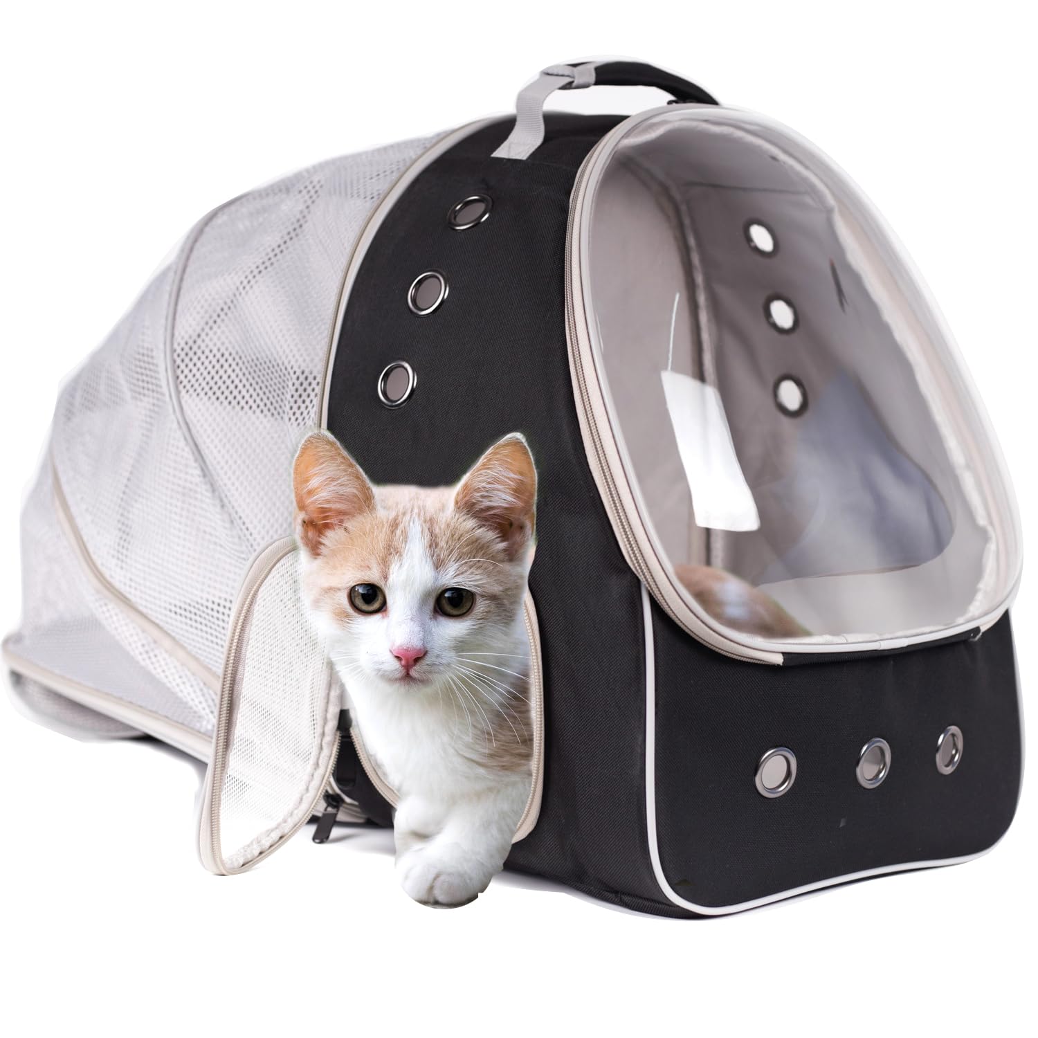 Cat Travel Backpack Carrier, Fit Up To 12 Lbs, Space Capsule Bubble Window Pet Carrier Backpack,Airline-Approved, Designed For Travel, Hiking, Walking & Outdoor Use (Black, Back-Extension)