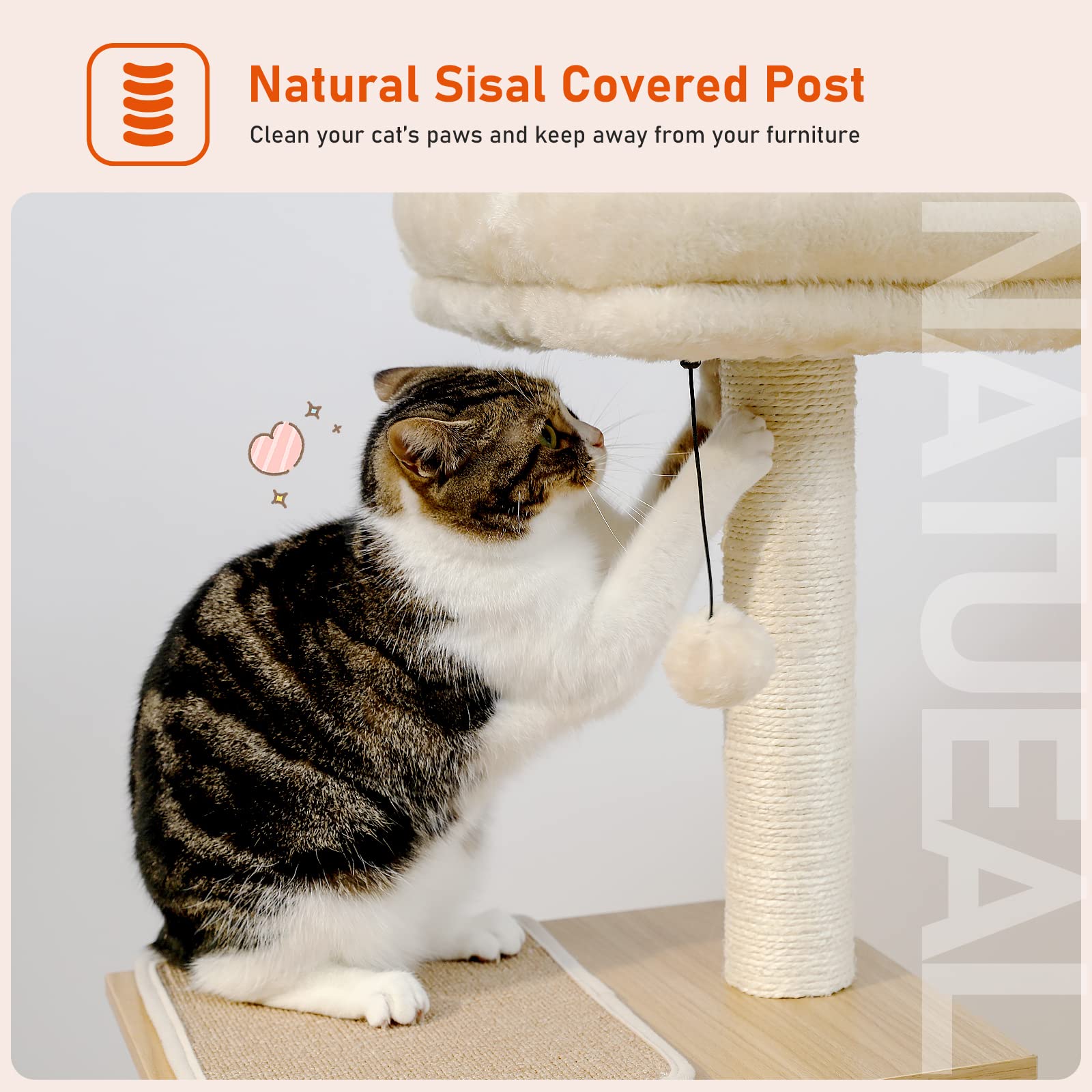 PEQULTI Cat Tree - Modern Indoor Multi-Level Tower with Condo, Hammock, Scratching Post - 43" Wooden Beige - Model AM52-AMT0106BG