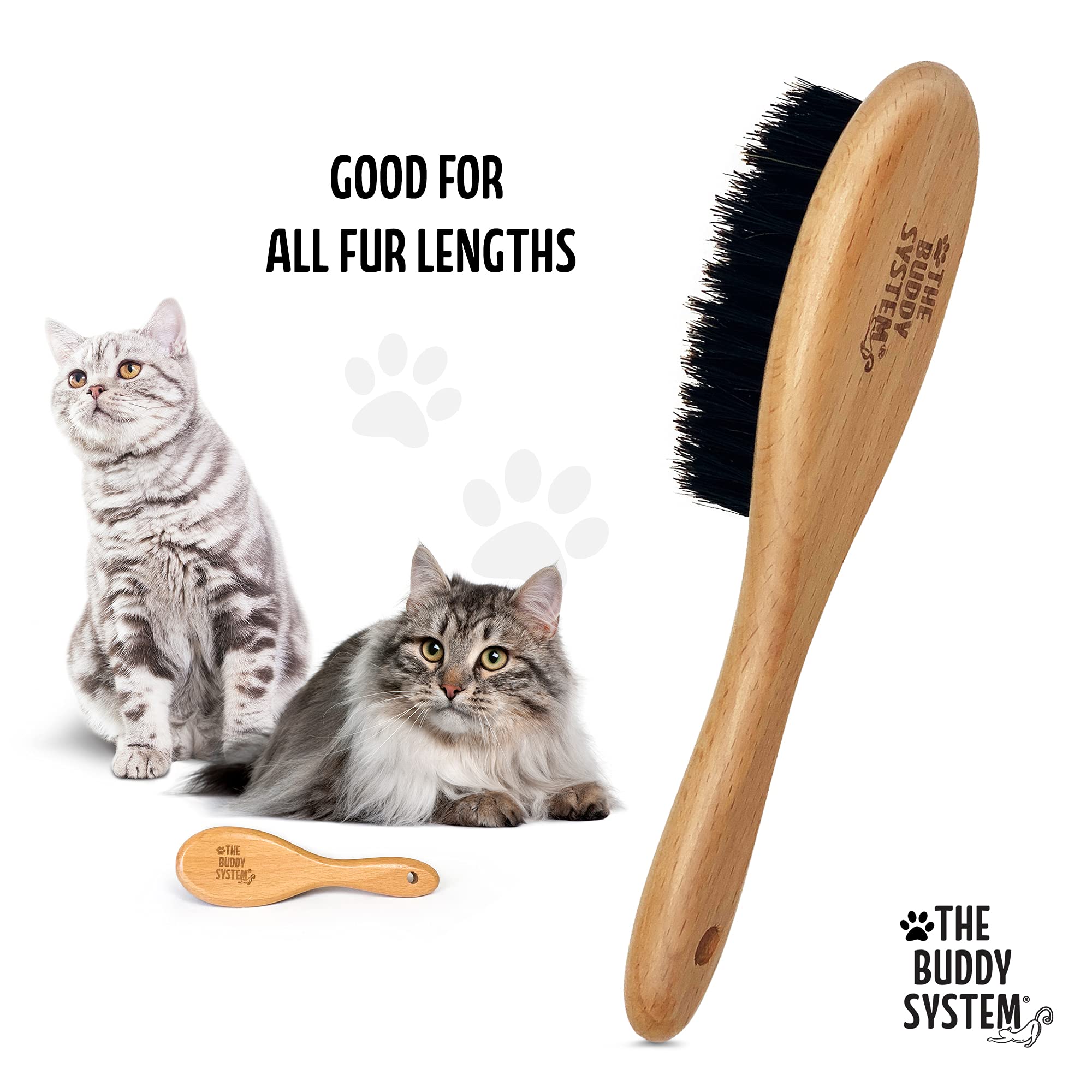 The Buddy System Cat Brush - Boar Bristle Grooming Hairbrush, Reduces Shedding, 1 Pack, Brown
