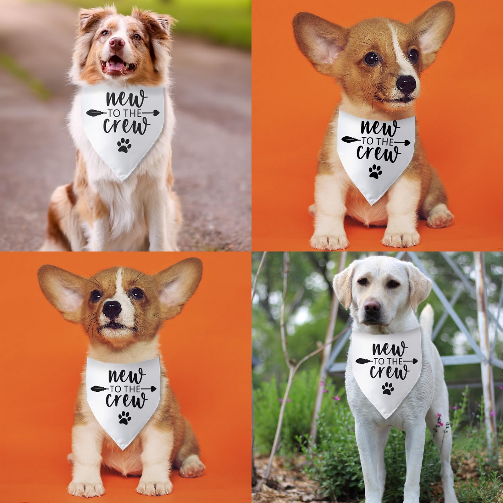 New to The Crew Dog Bandana New Puppy Announcement Gift for New Owners Puppy Bandana Dog Owner Gifts Triangle Bibs Scarf Accesso